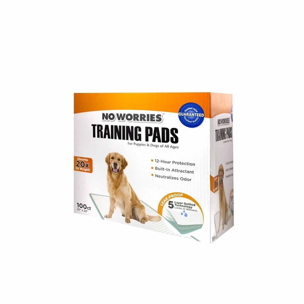 Four Paws No Worries 12Hour Dog Training Pads 1ea/22 inx22 in 100 ct
