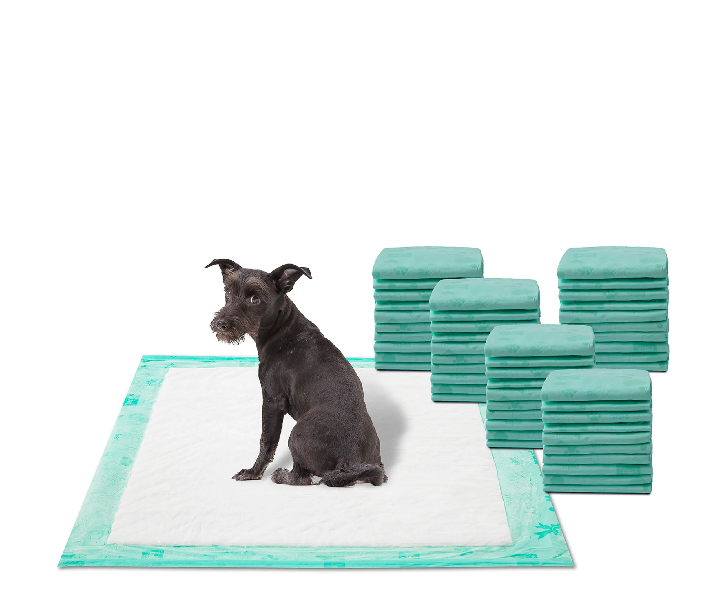 WizSmart Eco Dry Dog Pads – 3-Pack of 50 Count