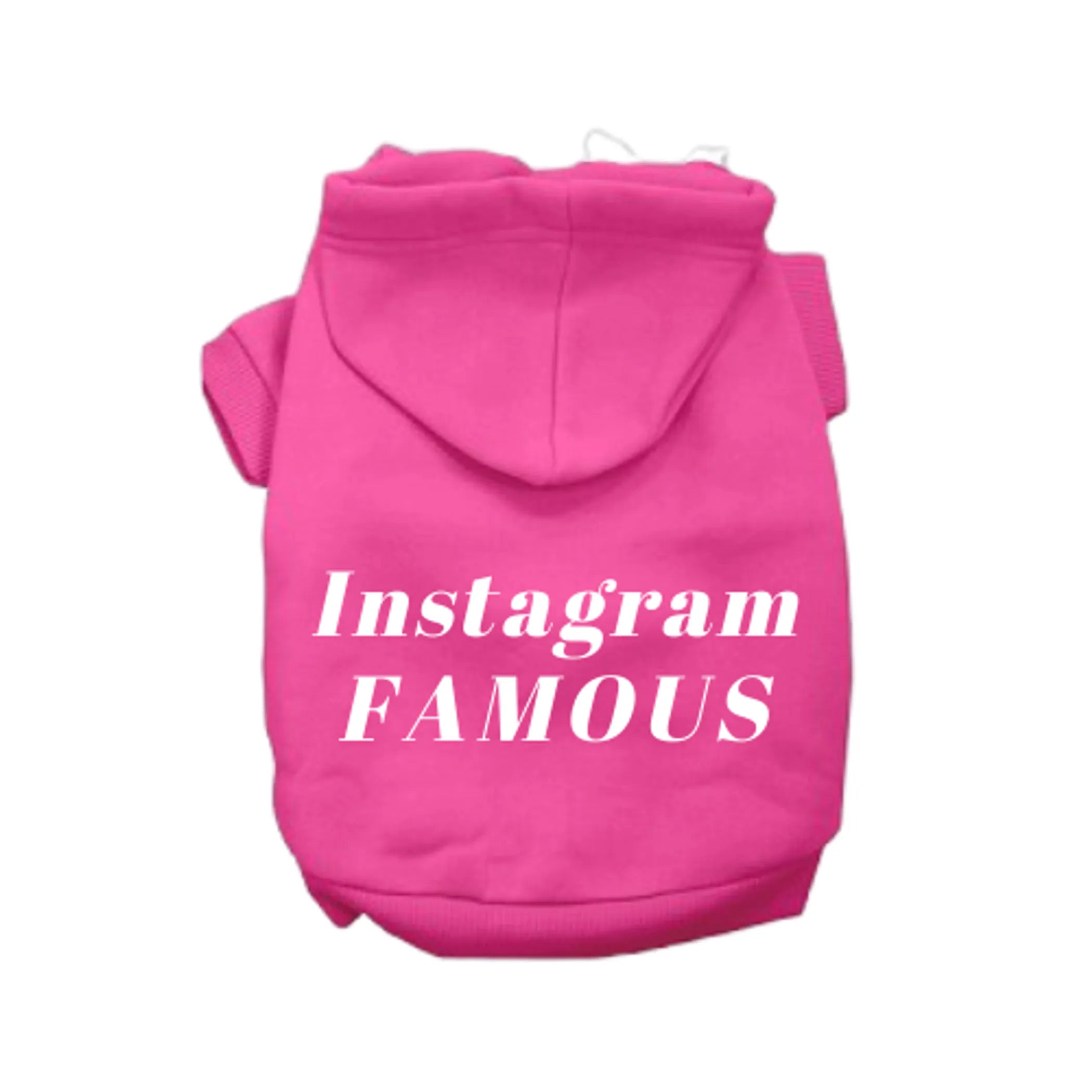 Instagram Famous Hoodie