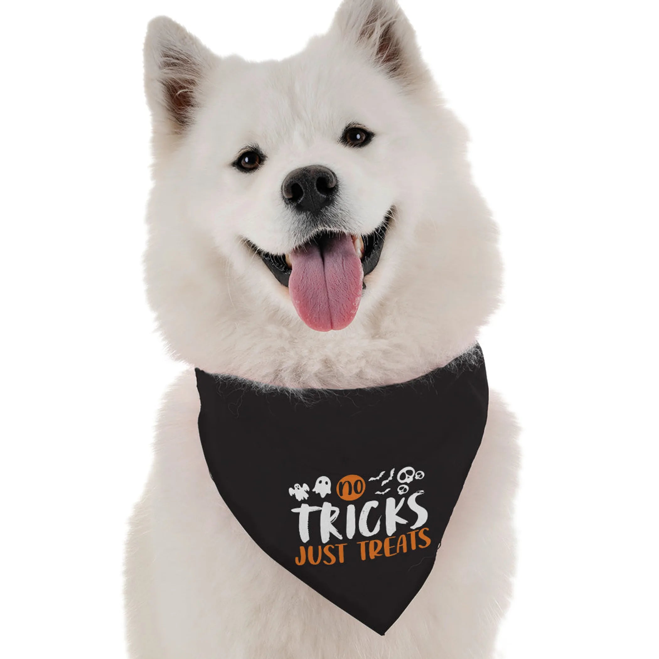 Bandoggies No Tricks, Just Treats Pet Bandana