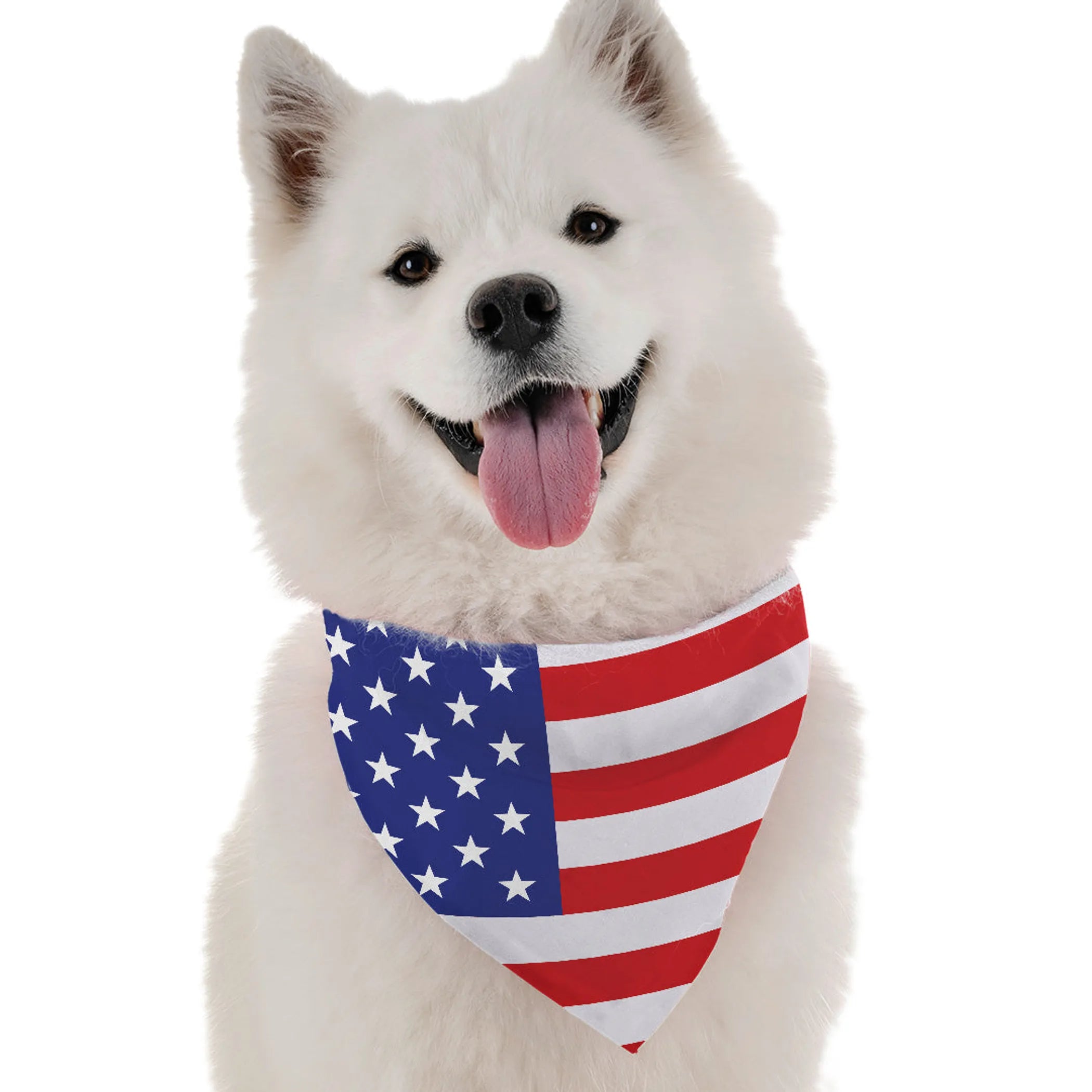 Bandoggies All American Pet Bandana