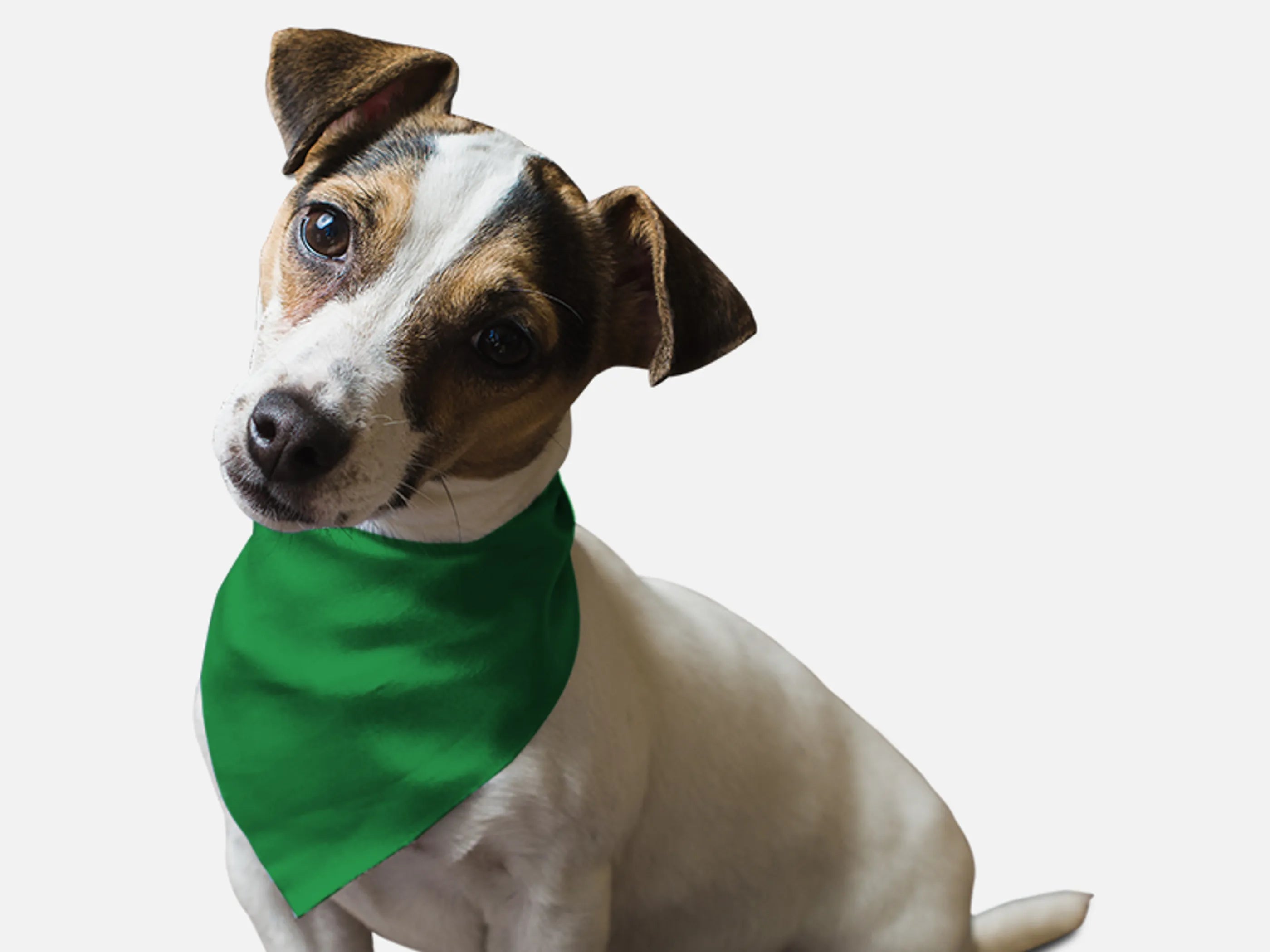 Bandoggies Green Green Grass Pet Bandana