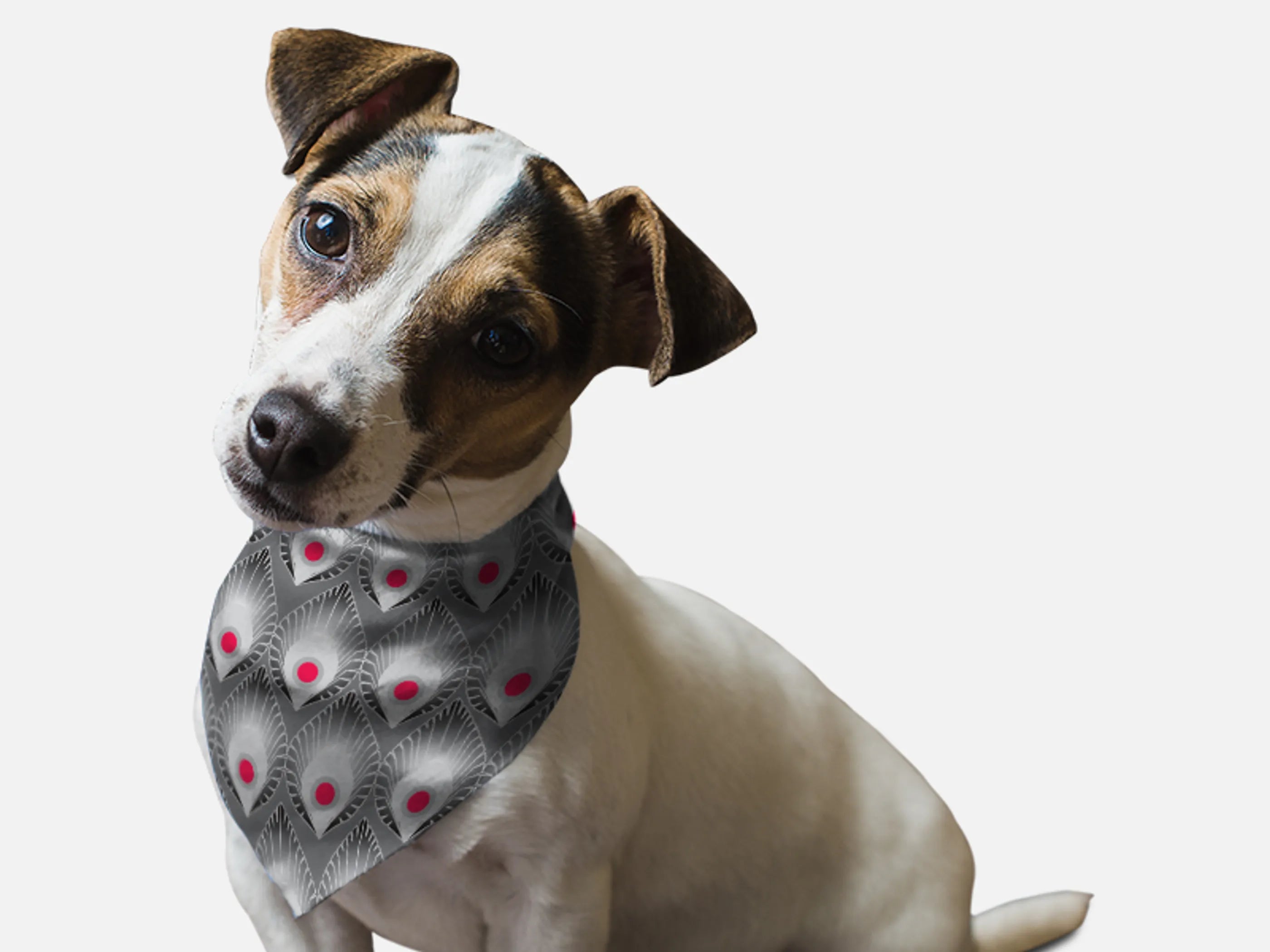 Bandoggies 1940ās Retro Style Pet Bandana