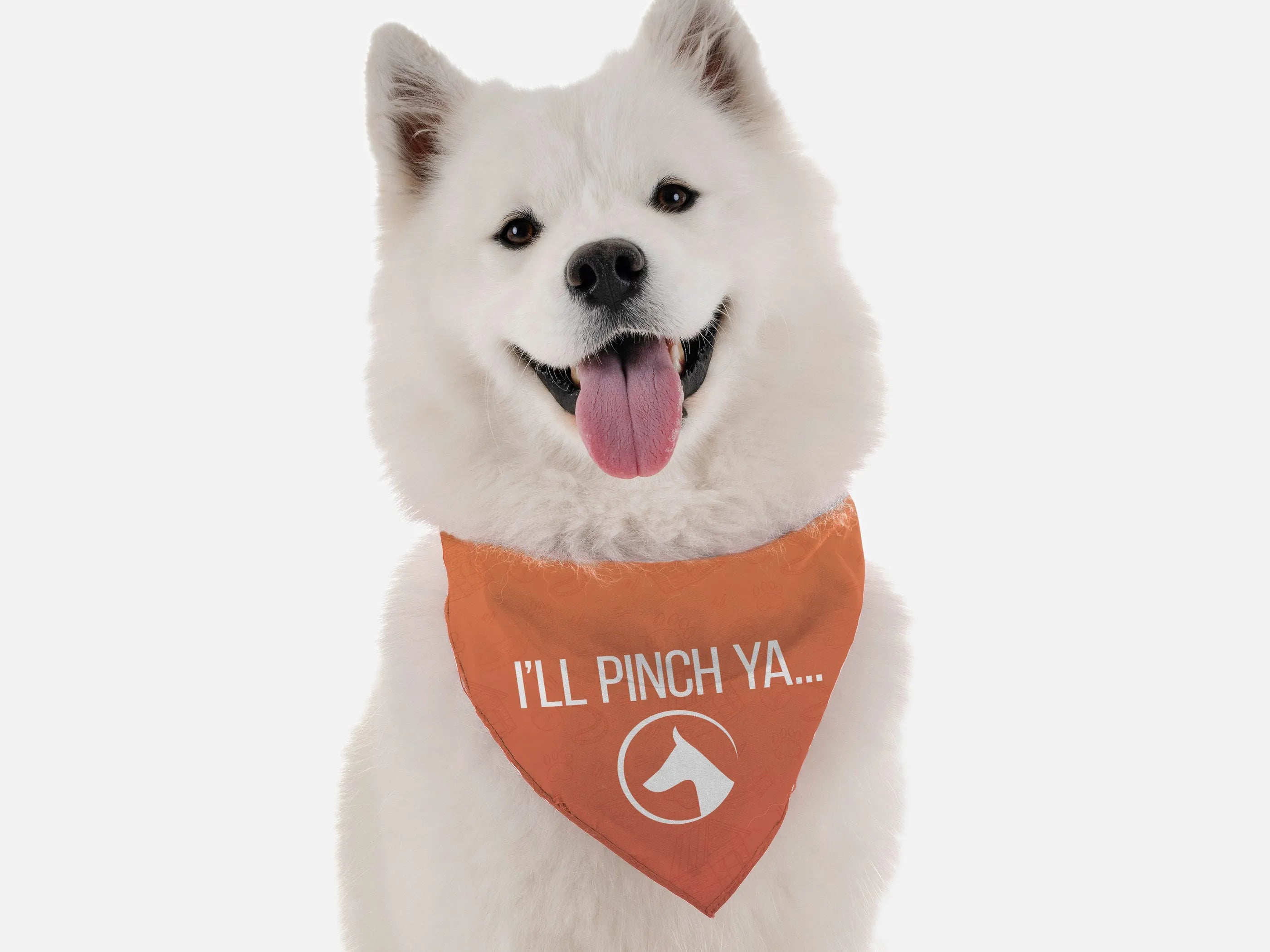 Bandoggies I'll Pinch Ya Pet Bandana