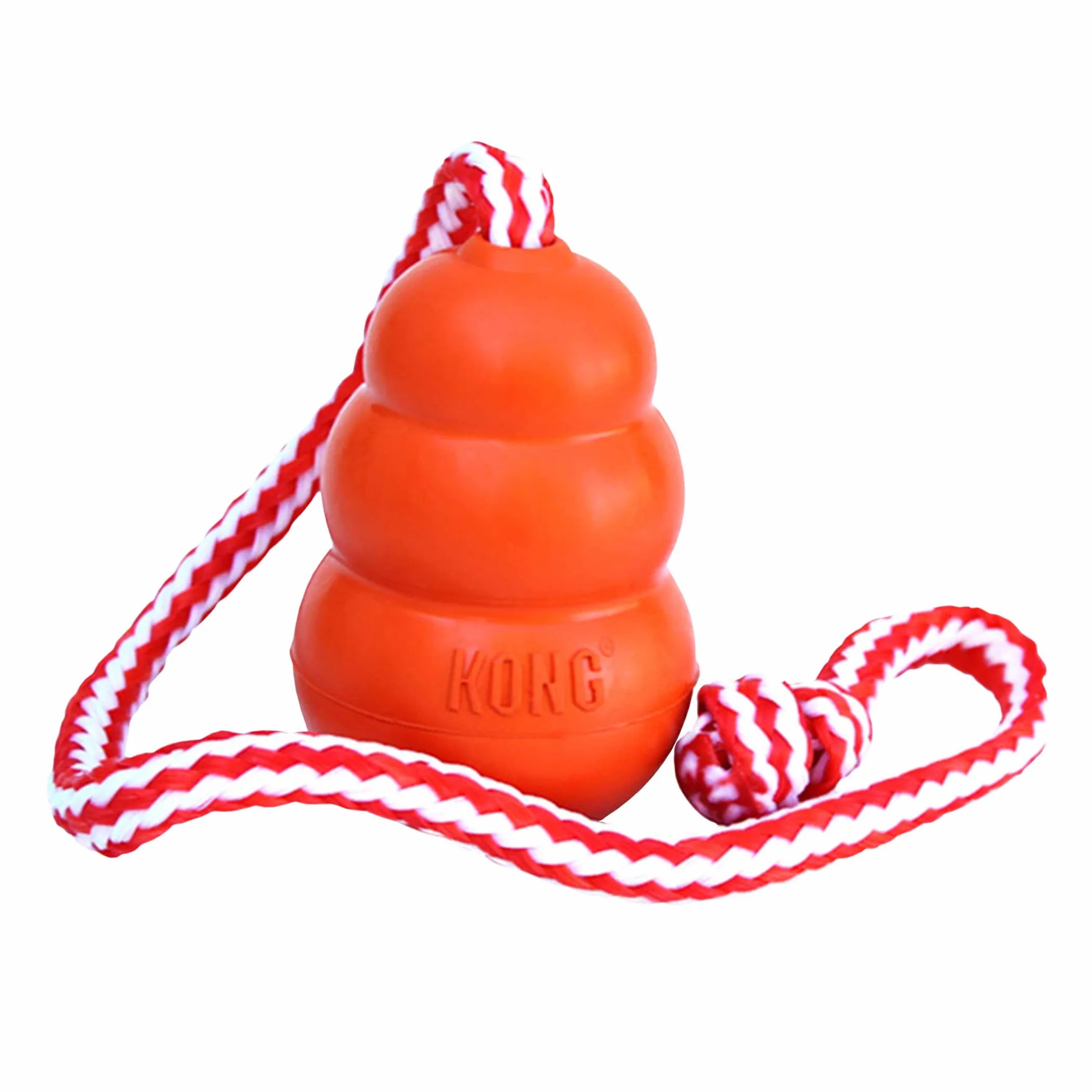 KONG® Aqua Cat Toy