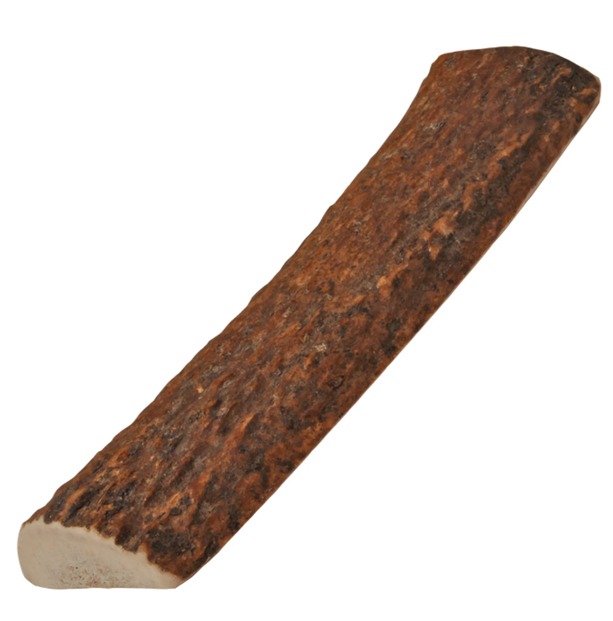 Natural Elk Antler