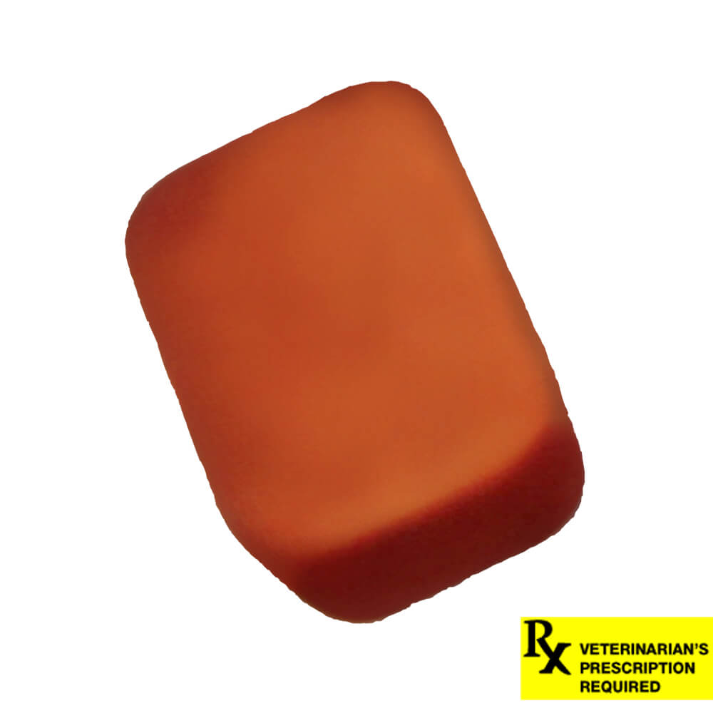 Rx NexGard Dog 24.1-60lb x 1 tablet