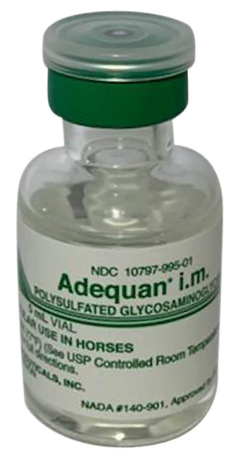 Rx Adequan (Equine) 500mg/5ml x 5ml x 1 vial