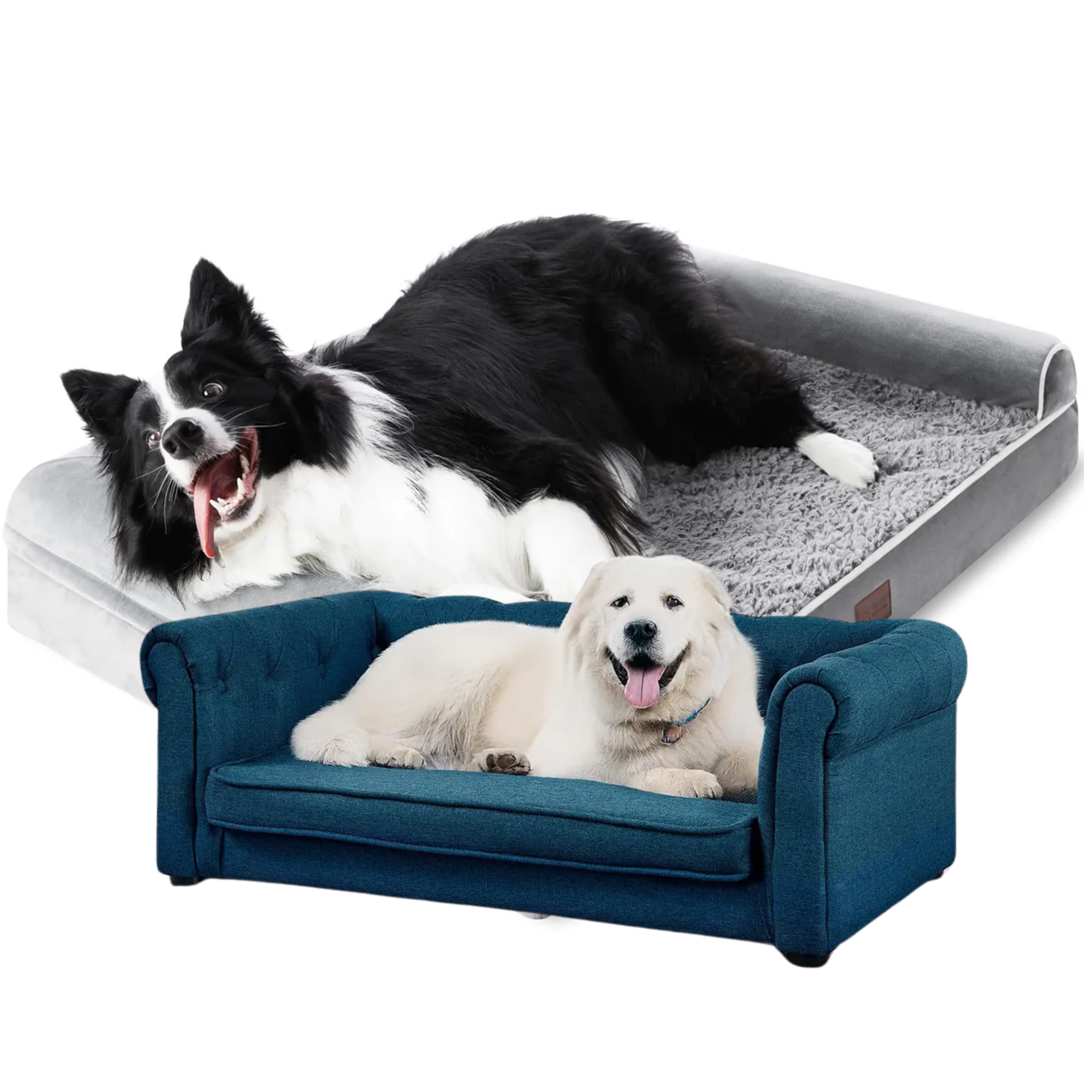 Dog Sofa Beds & Furniture