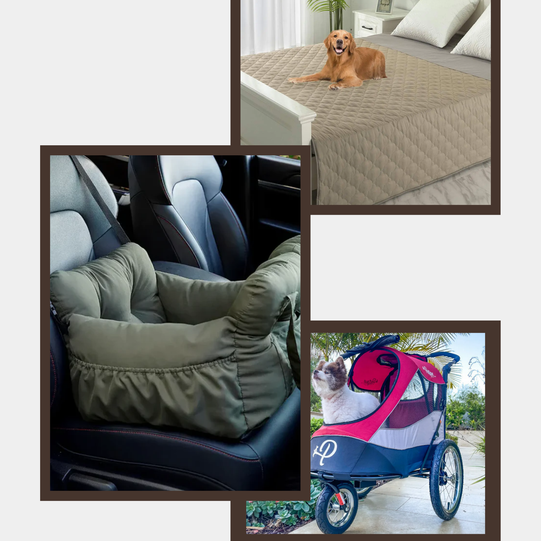 Dog Travel & Necessities