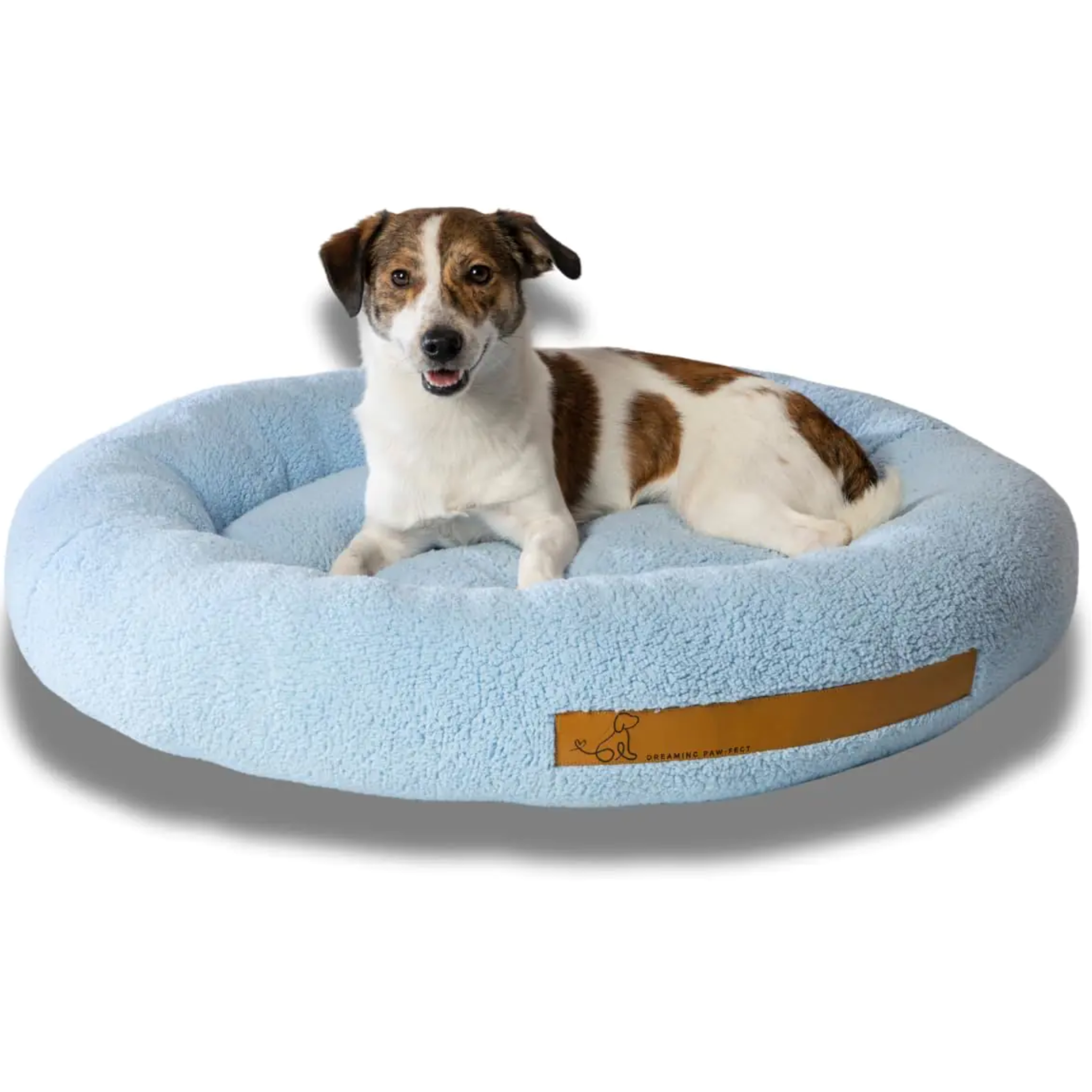 Memory Foam & Orthopedic Beds