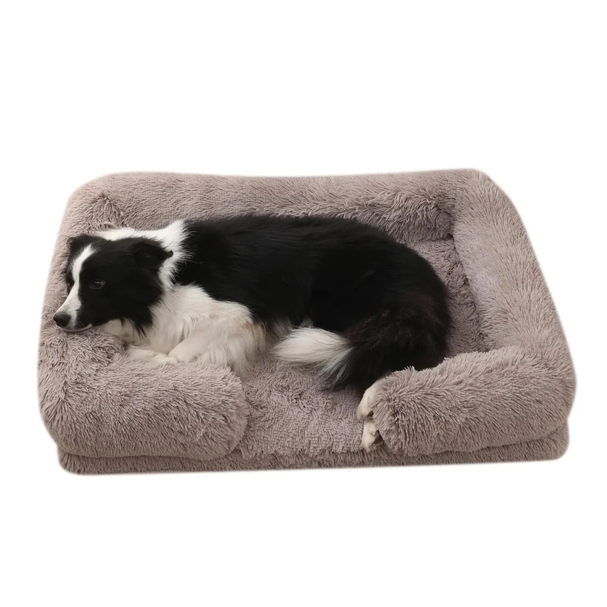 Plush Dog Beds