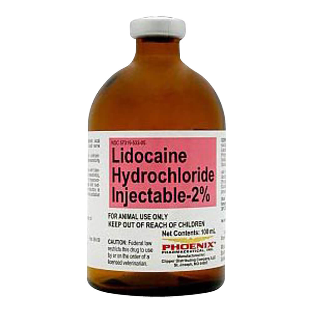 Lidocaine Hydrochloride Injectable 2% Rx  100 ml