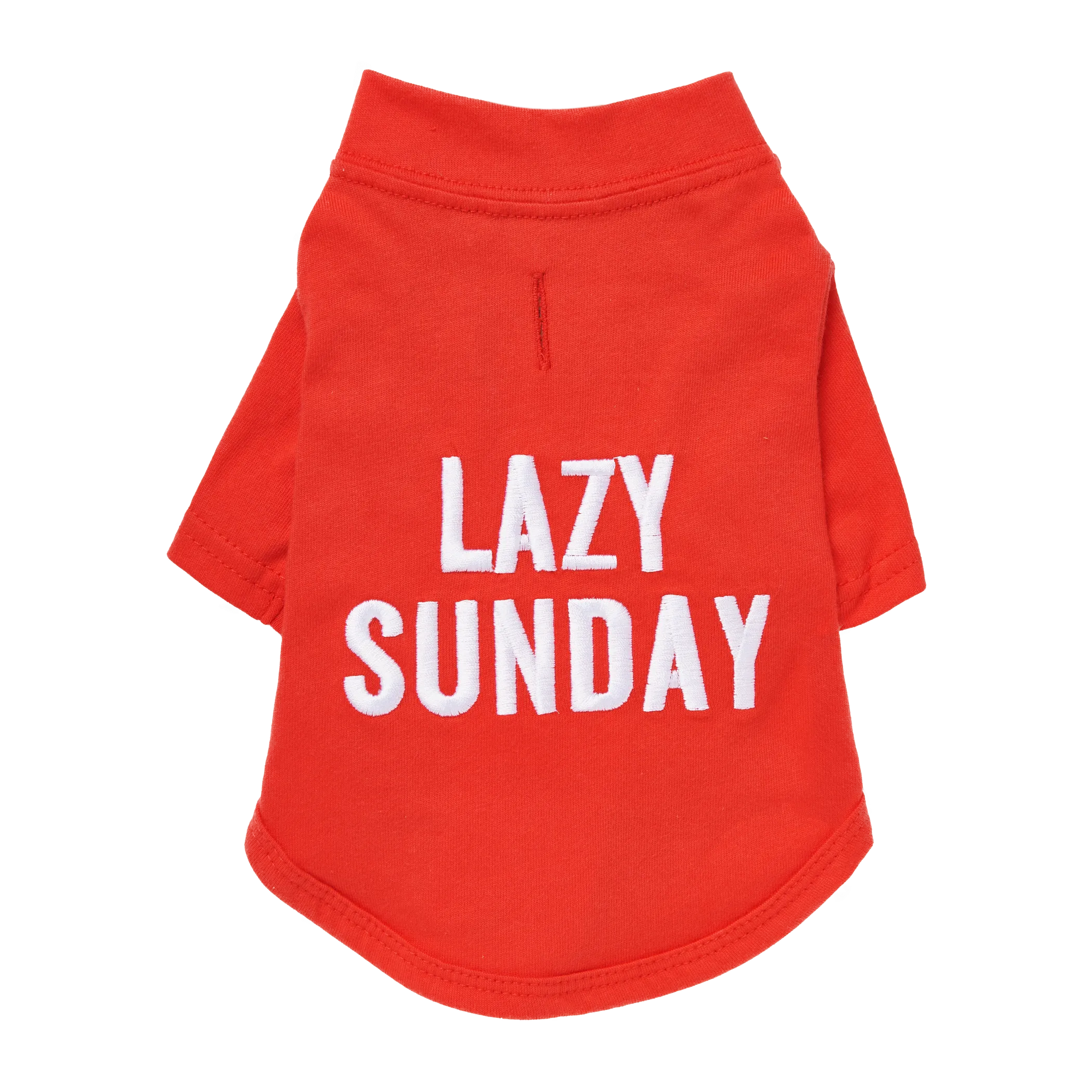 The Essential T-Shirt
