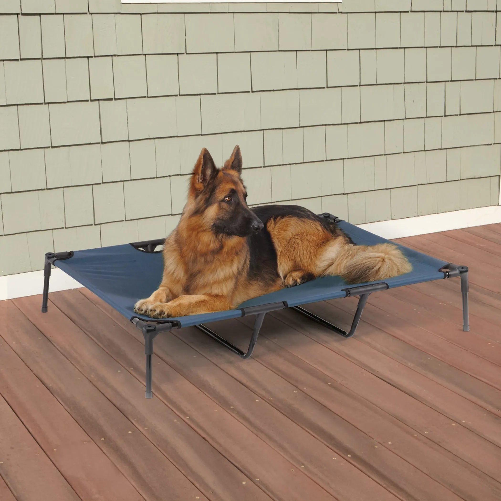 Guardian Gear Pet Cot Blue
