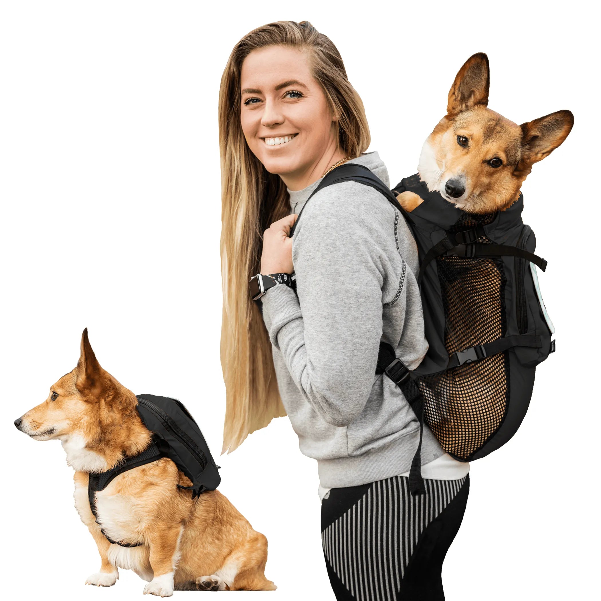 Walk-On Backpack Carrier with Harness &amp; Storage