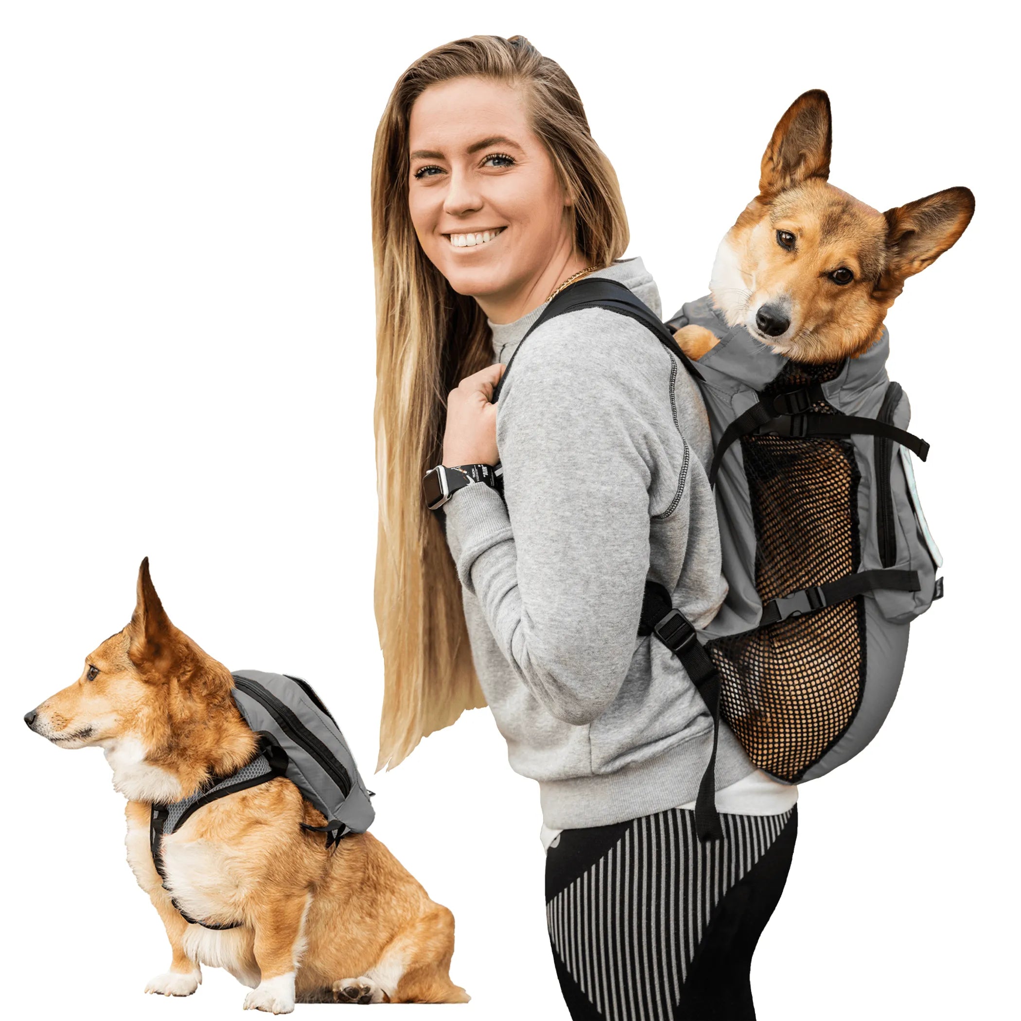 Walk-On Backpack Carrier with Harness &amp; Storage