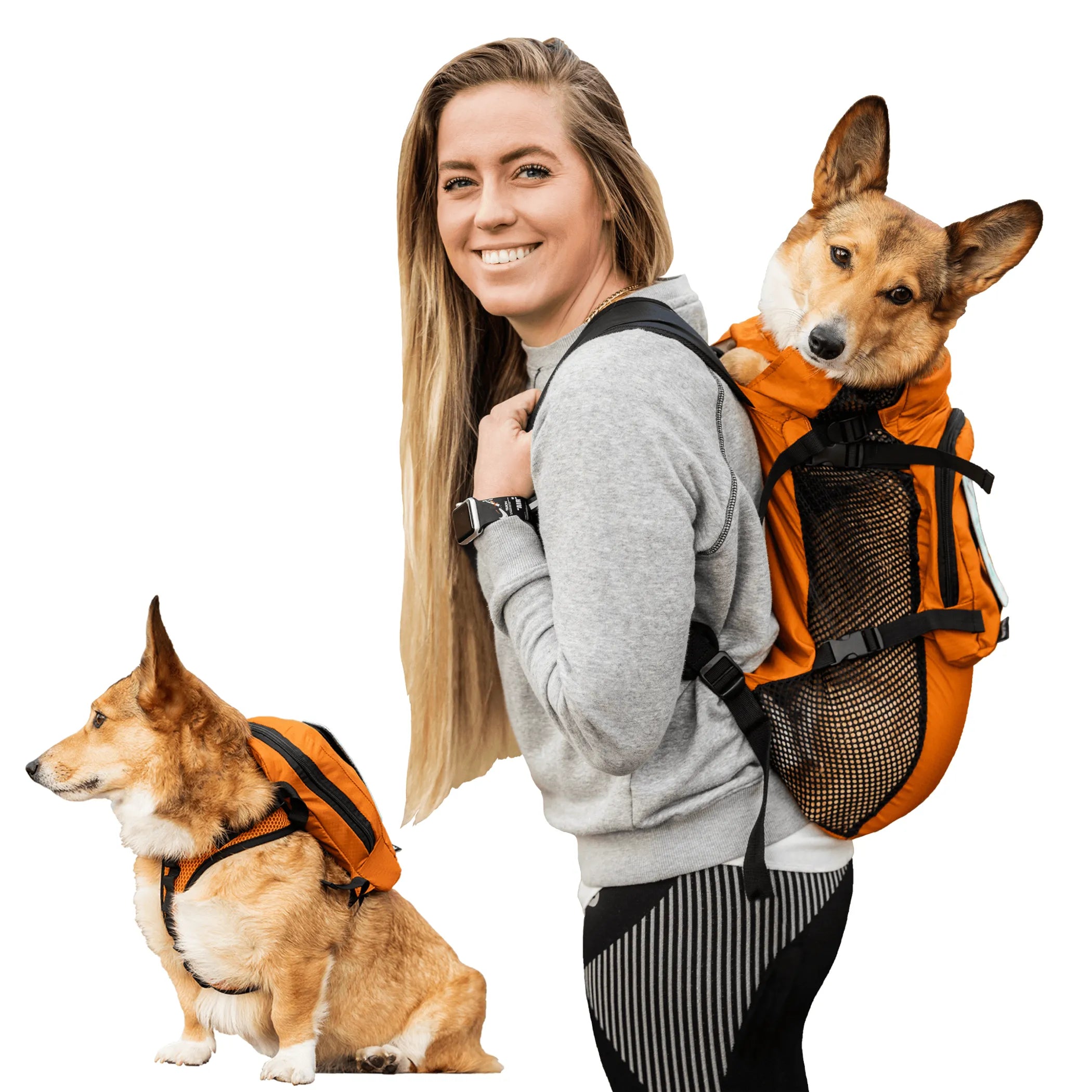 Walk-On Backpack Carrier with Harness &amp; Storage