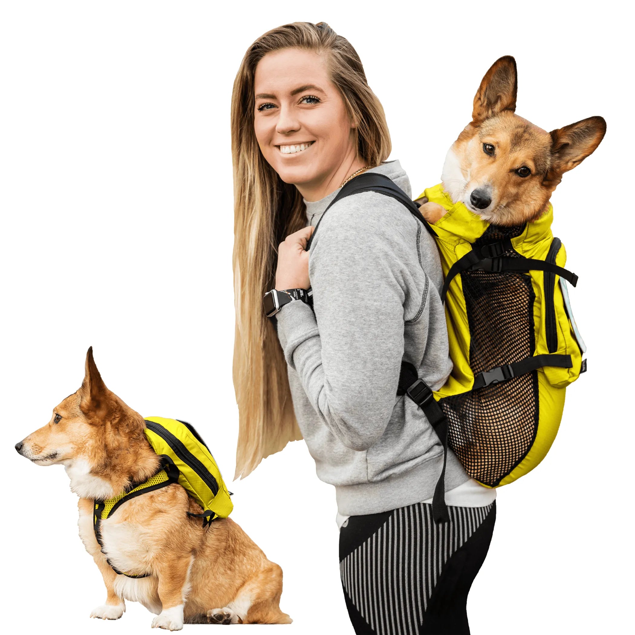 Walk-On Backpack Carrier with Harness &amp; Storage