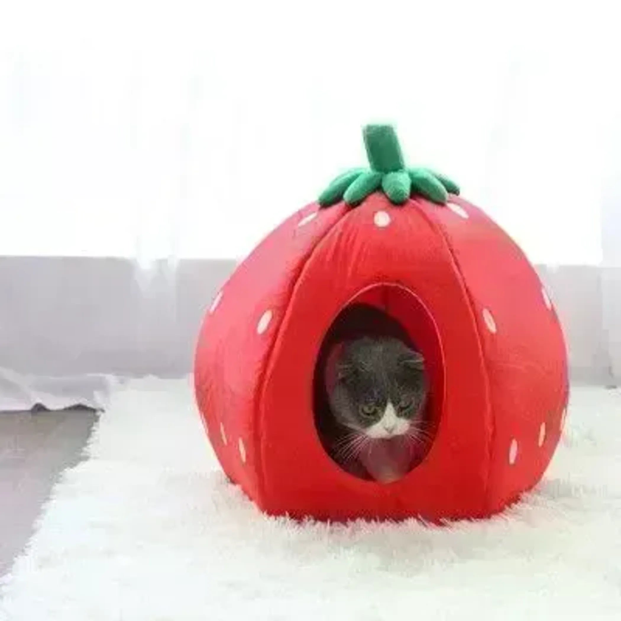 Strawberry Pet Bed House