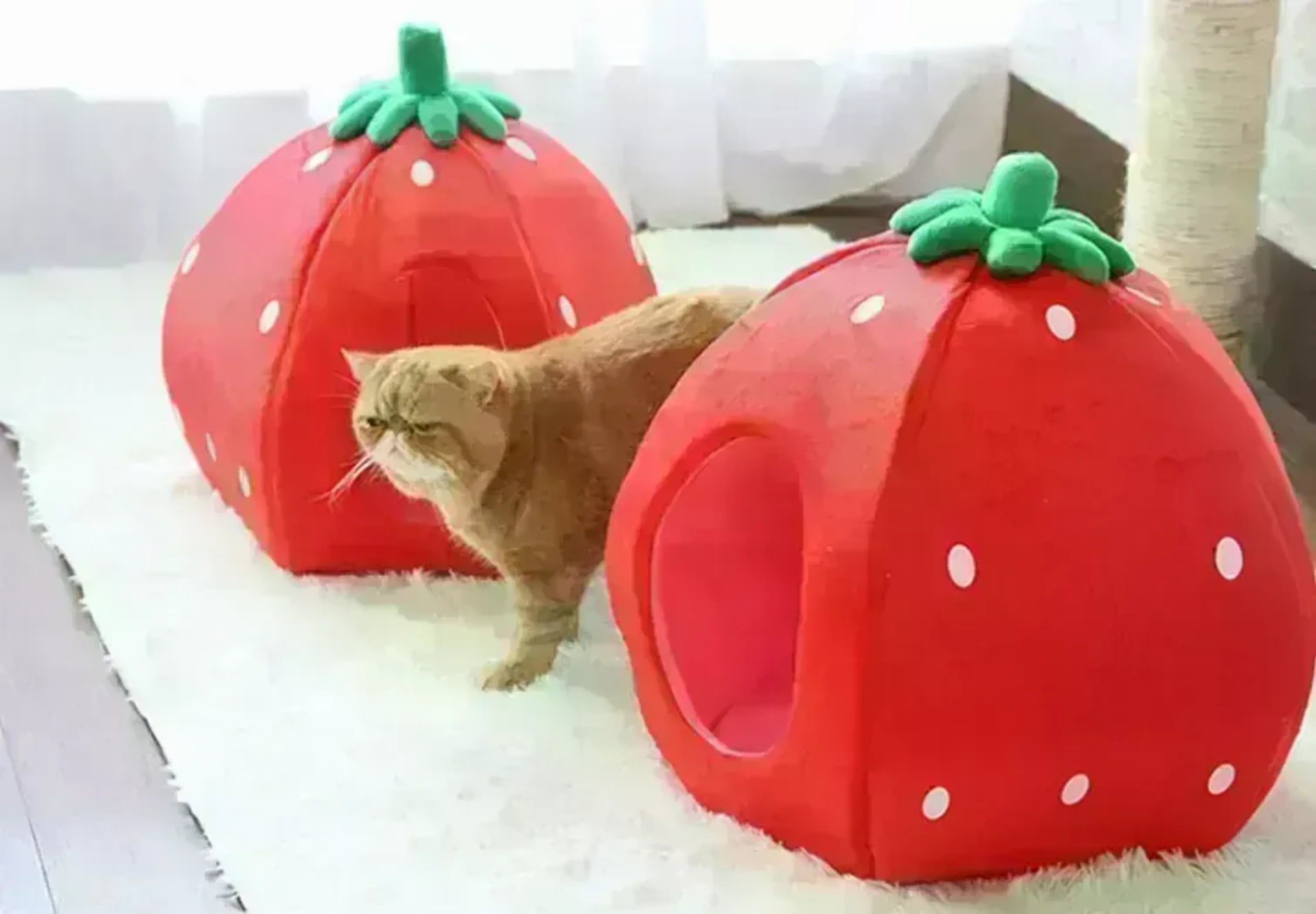 Strawberry Pet Bed House