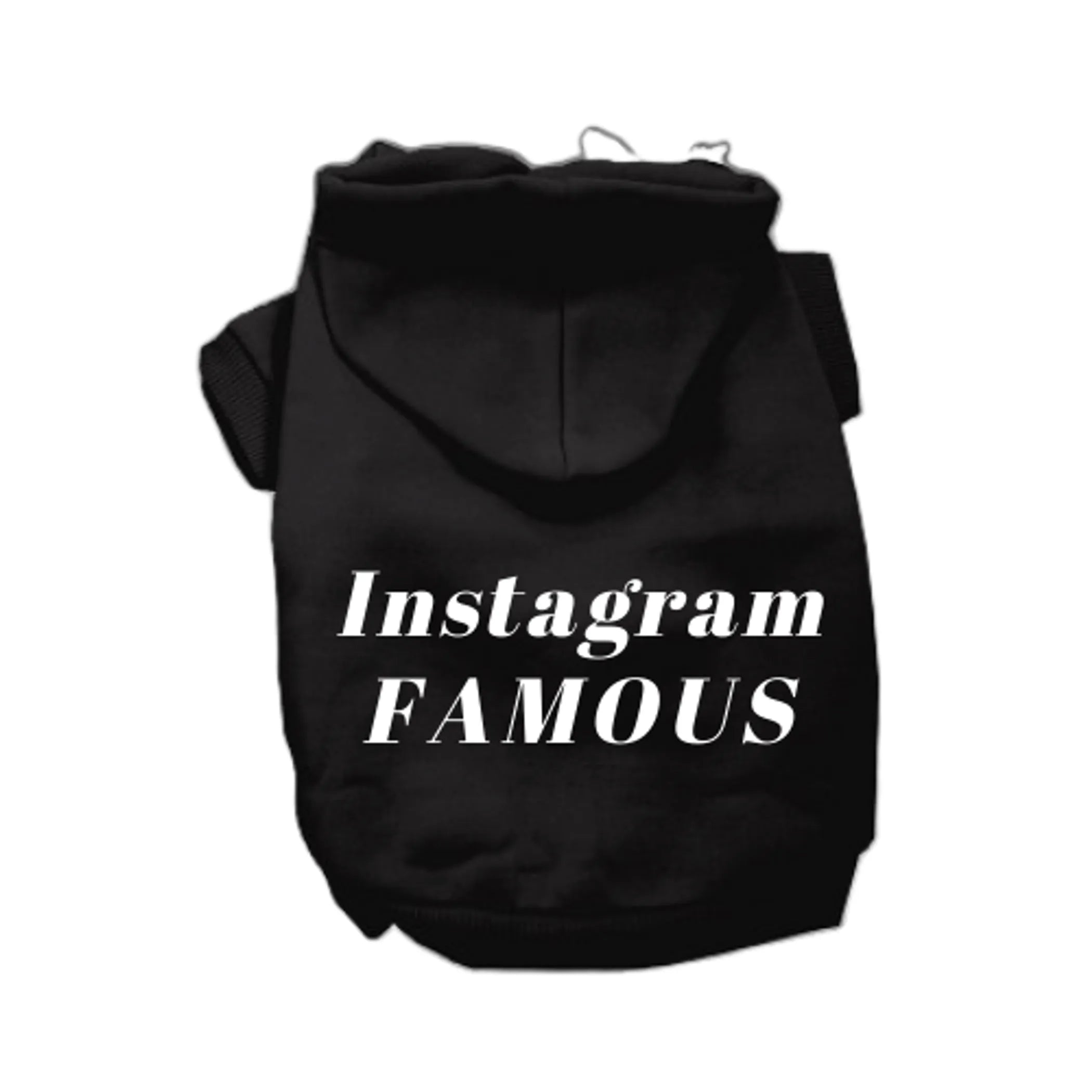 Instagram Famous Hoodie