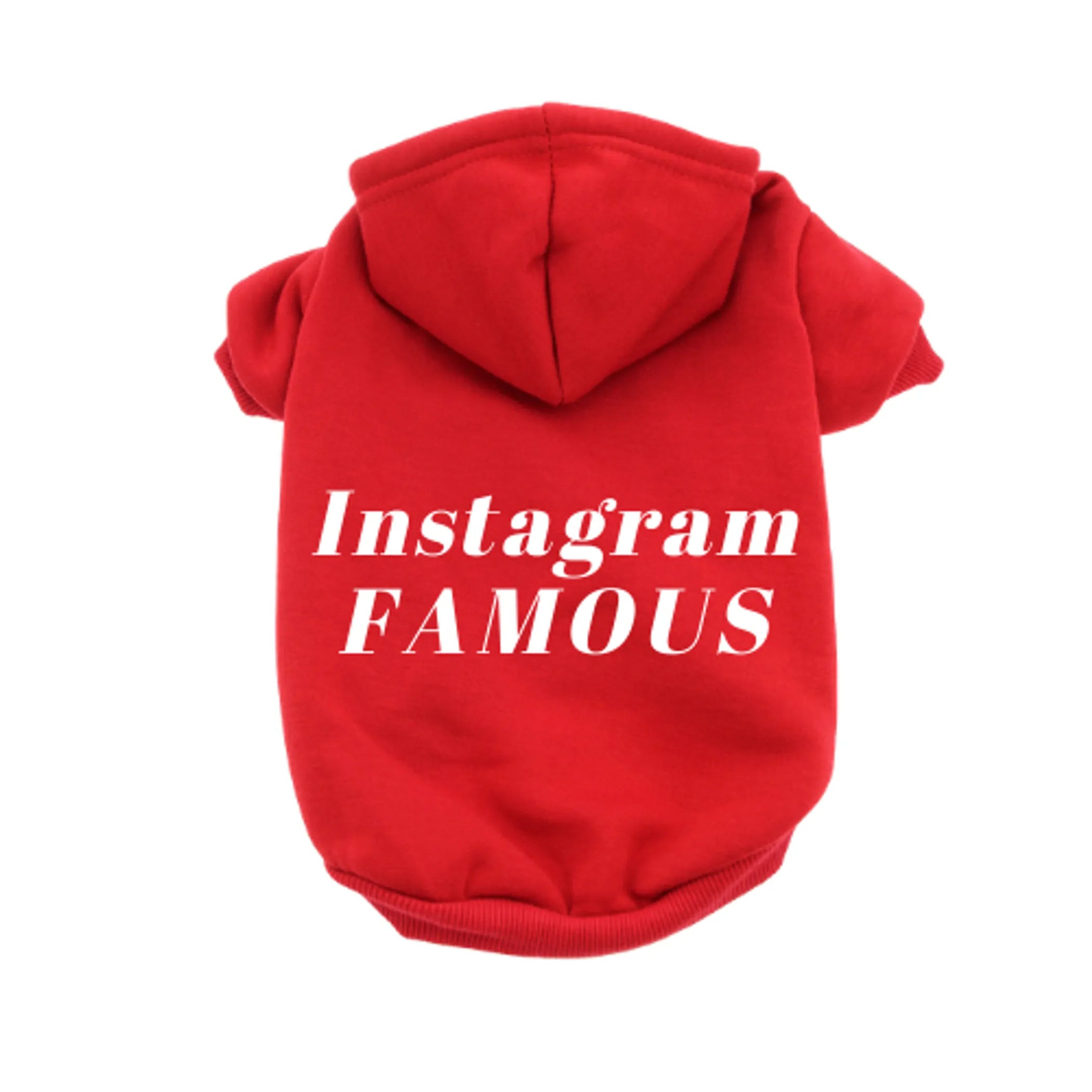 Instagram Famous Hoodie
