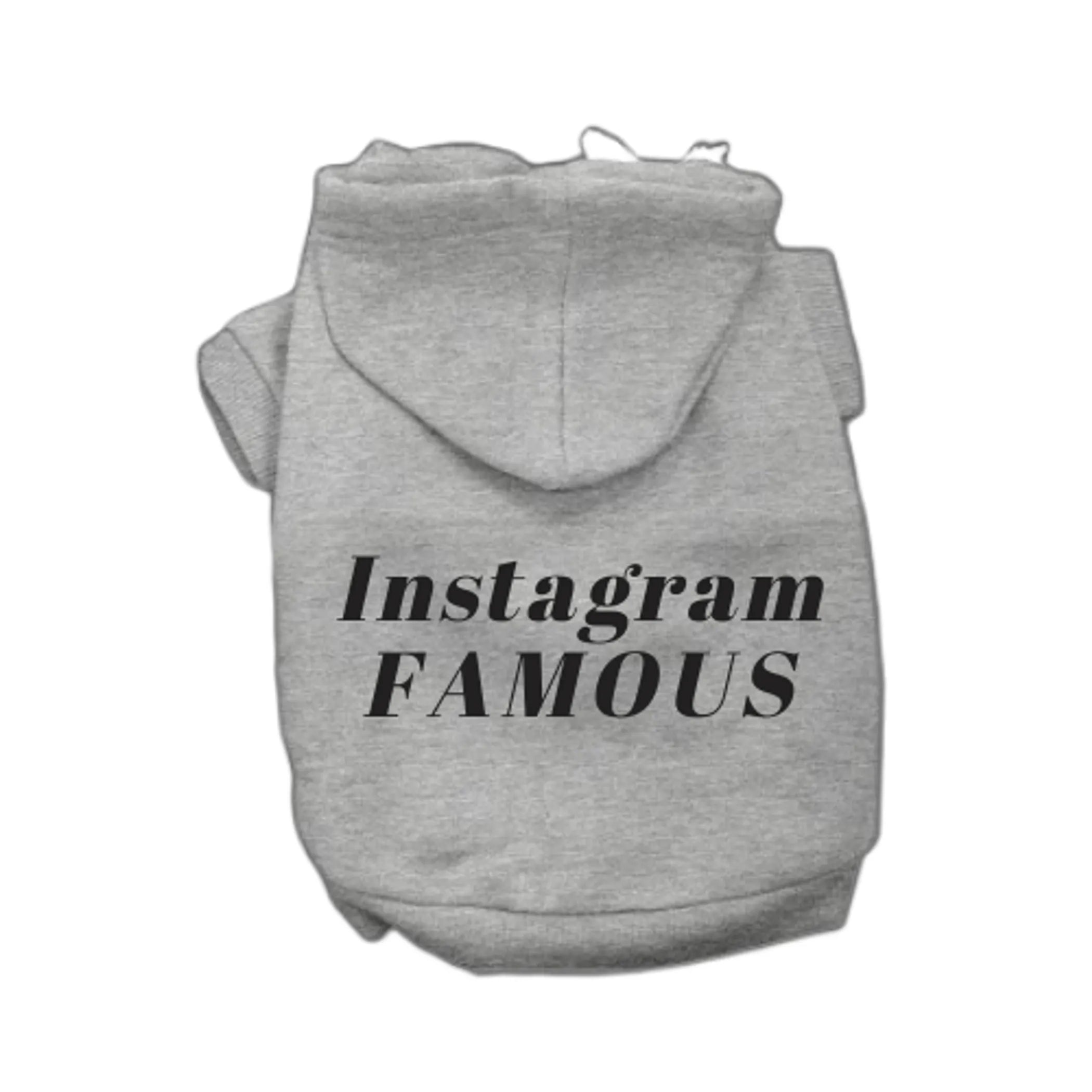 Instagram Famous Hoodie