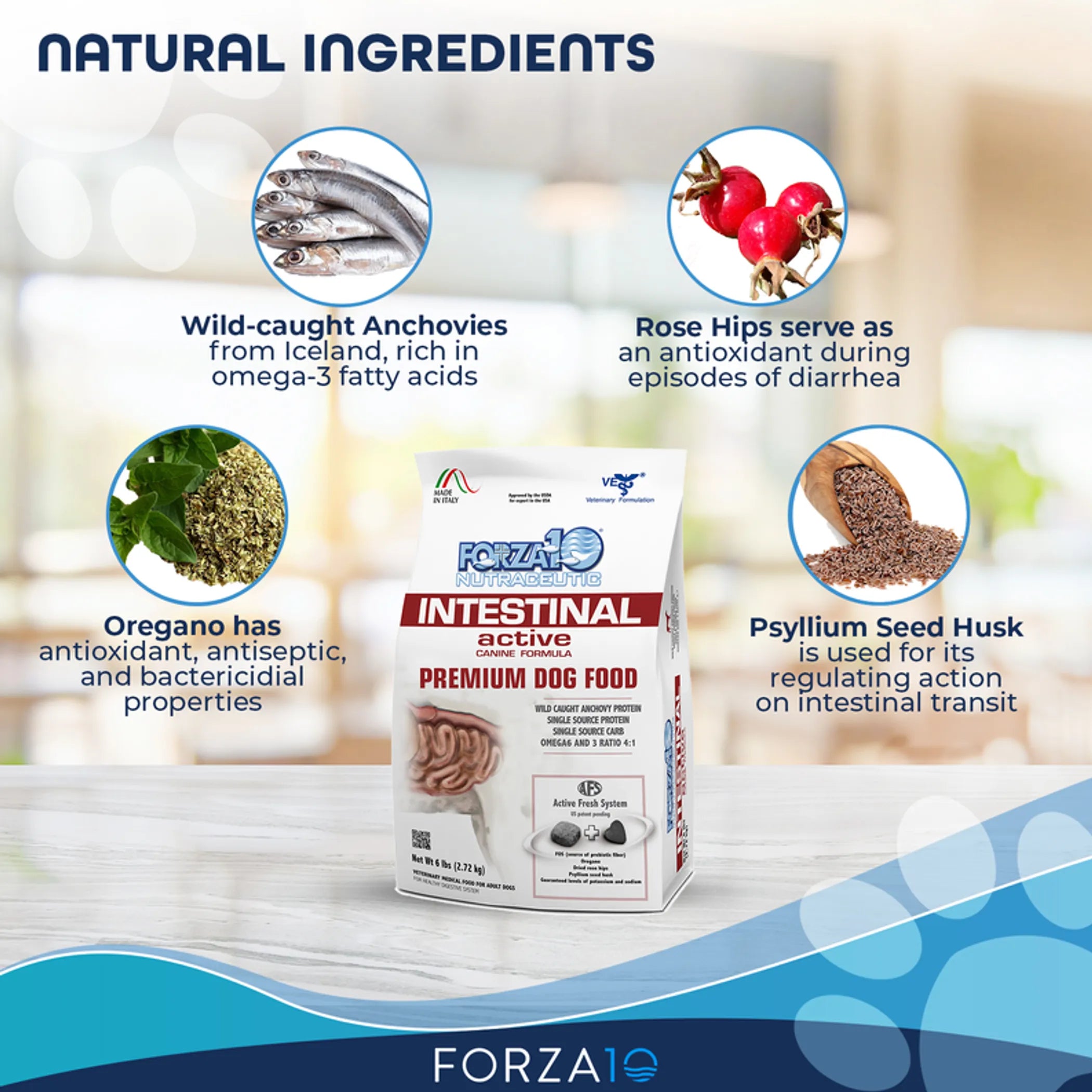 Forza10 Active Intestinal Support