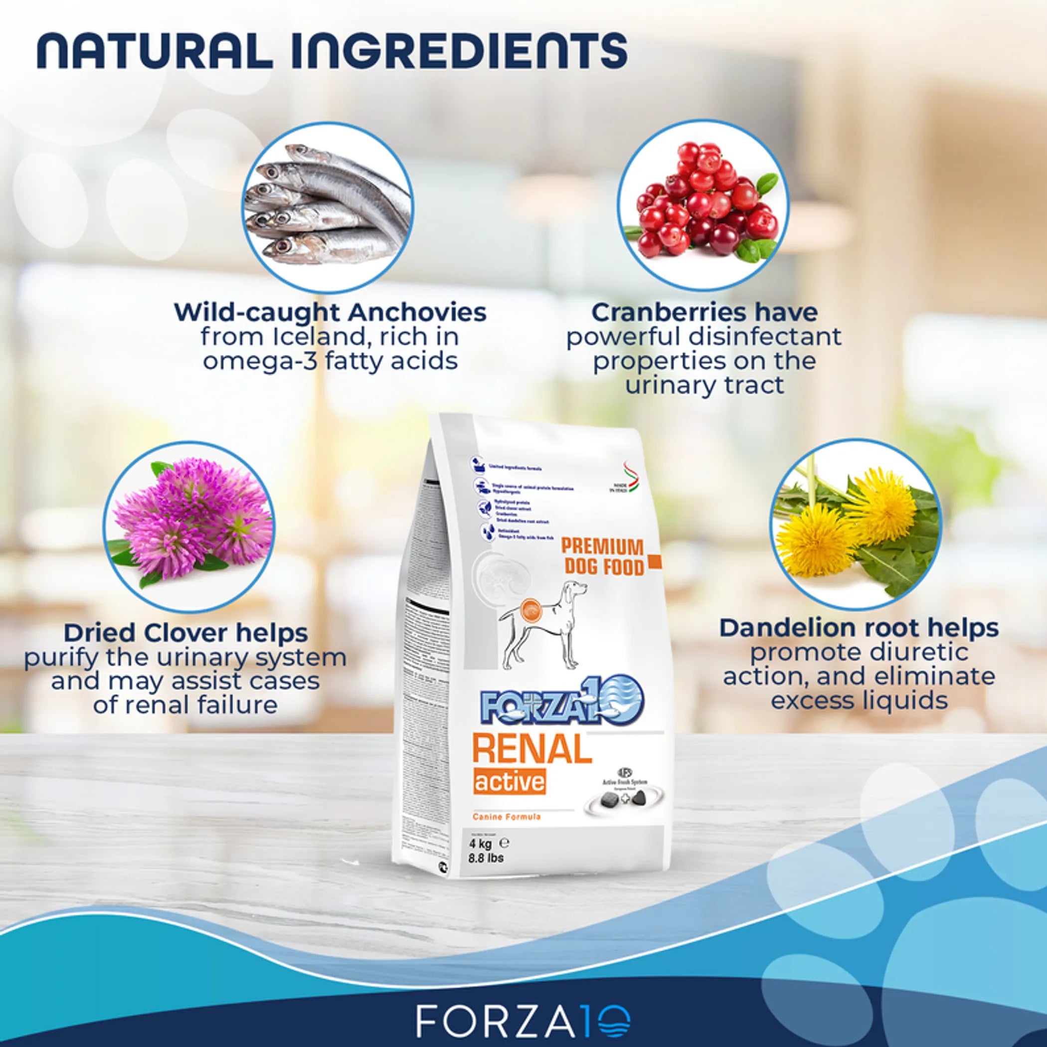 Forza10 Active Renal Support