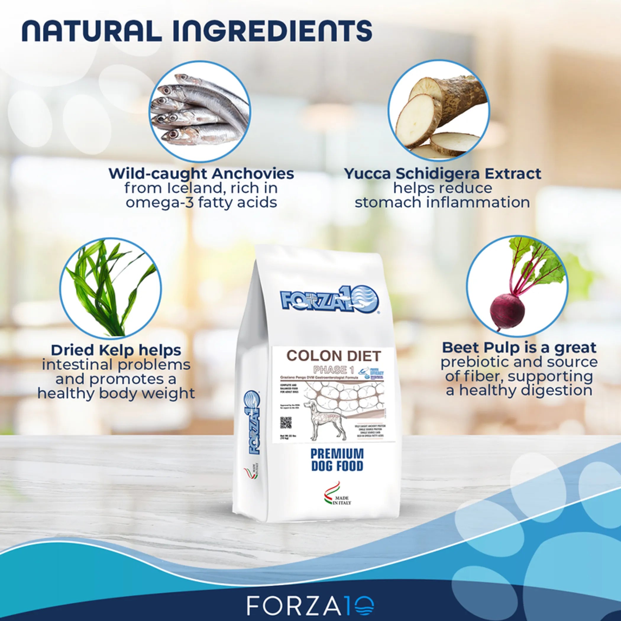 Forza10 Colon Diet Phase 1