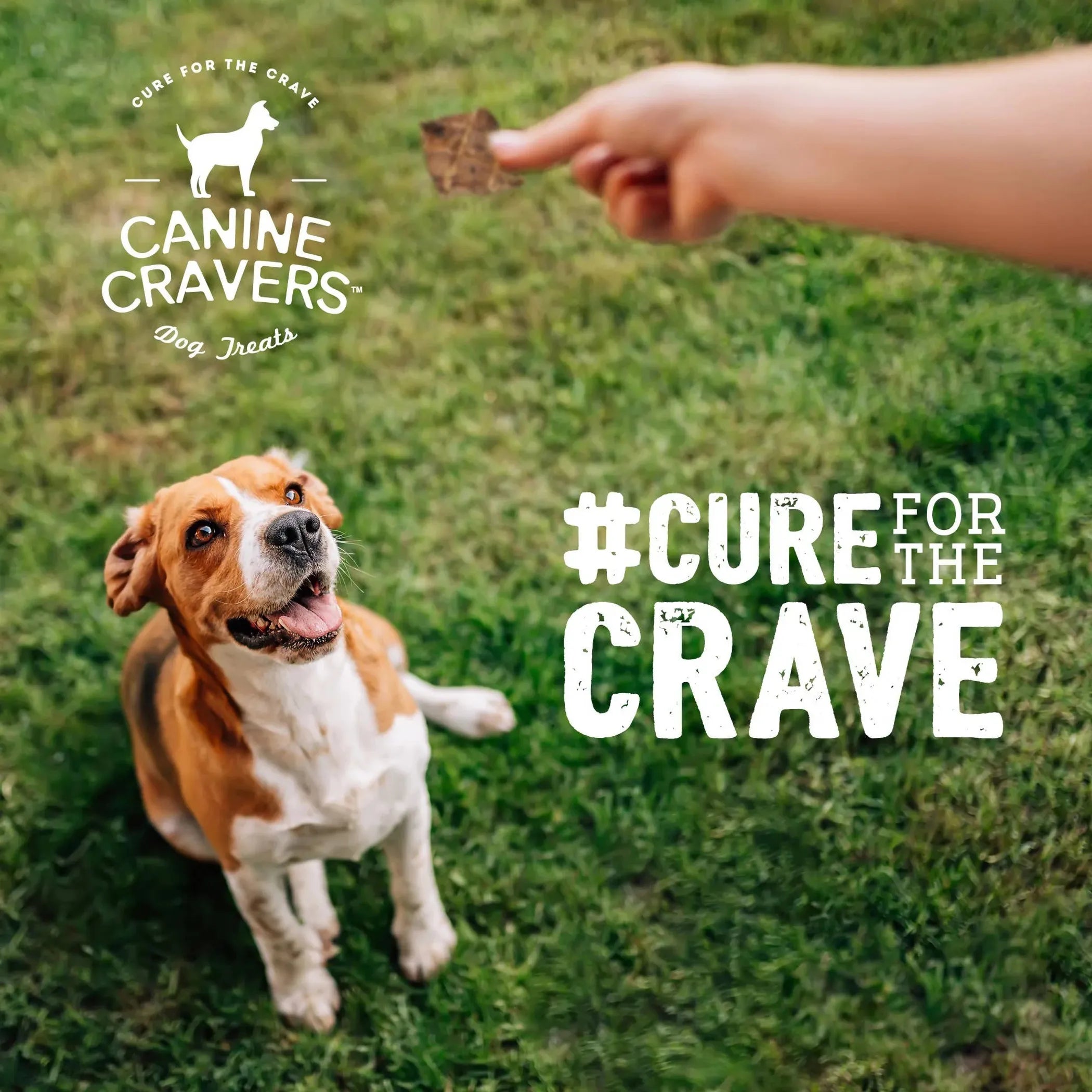 Canine Cravers Air-Dried Lamb Fillets