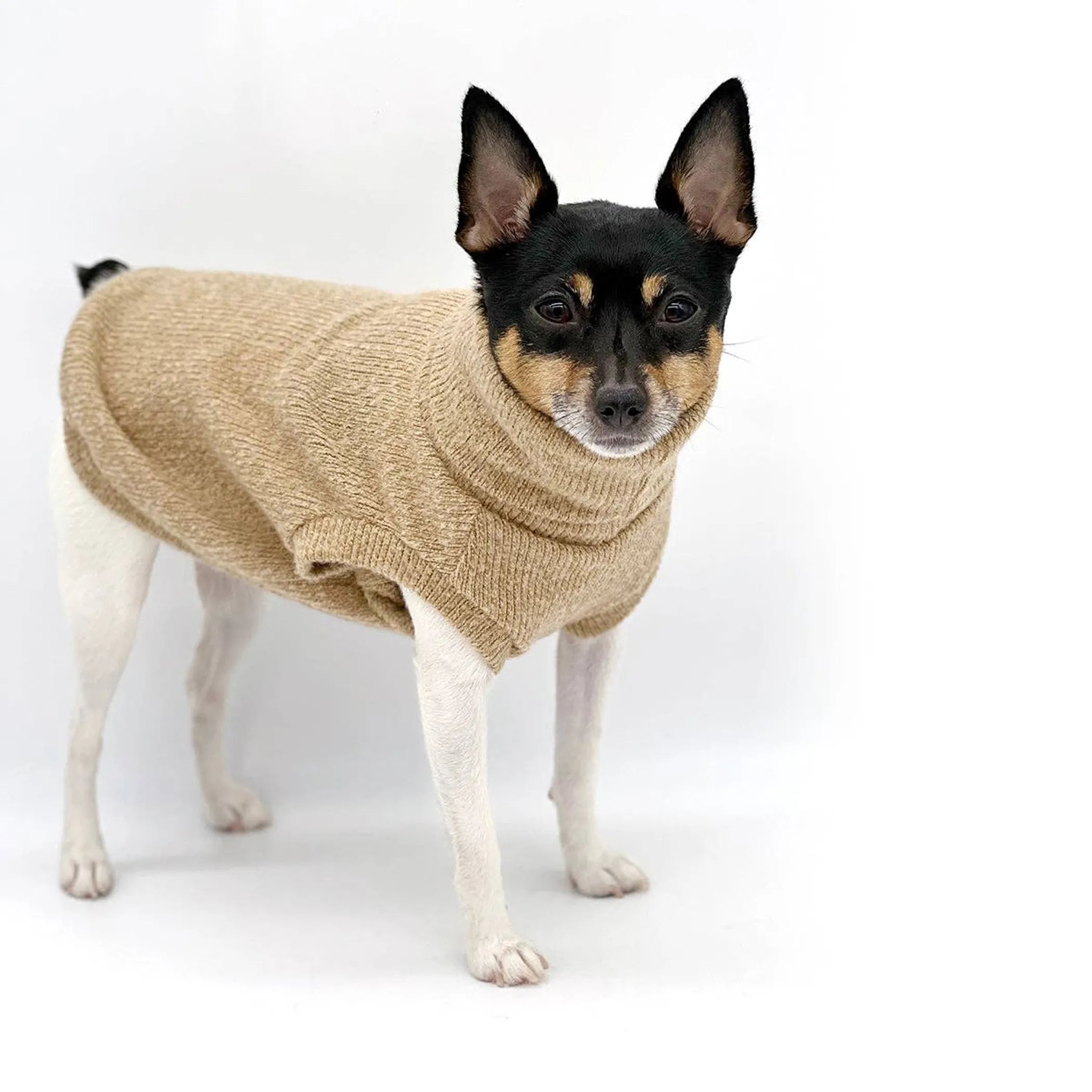 Cafe Latte Pullover Sweater
