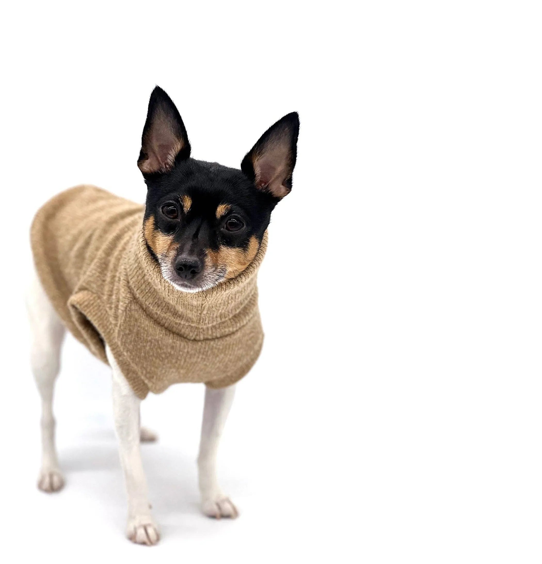 Cafe Latte Pullover Sweater