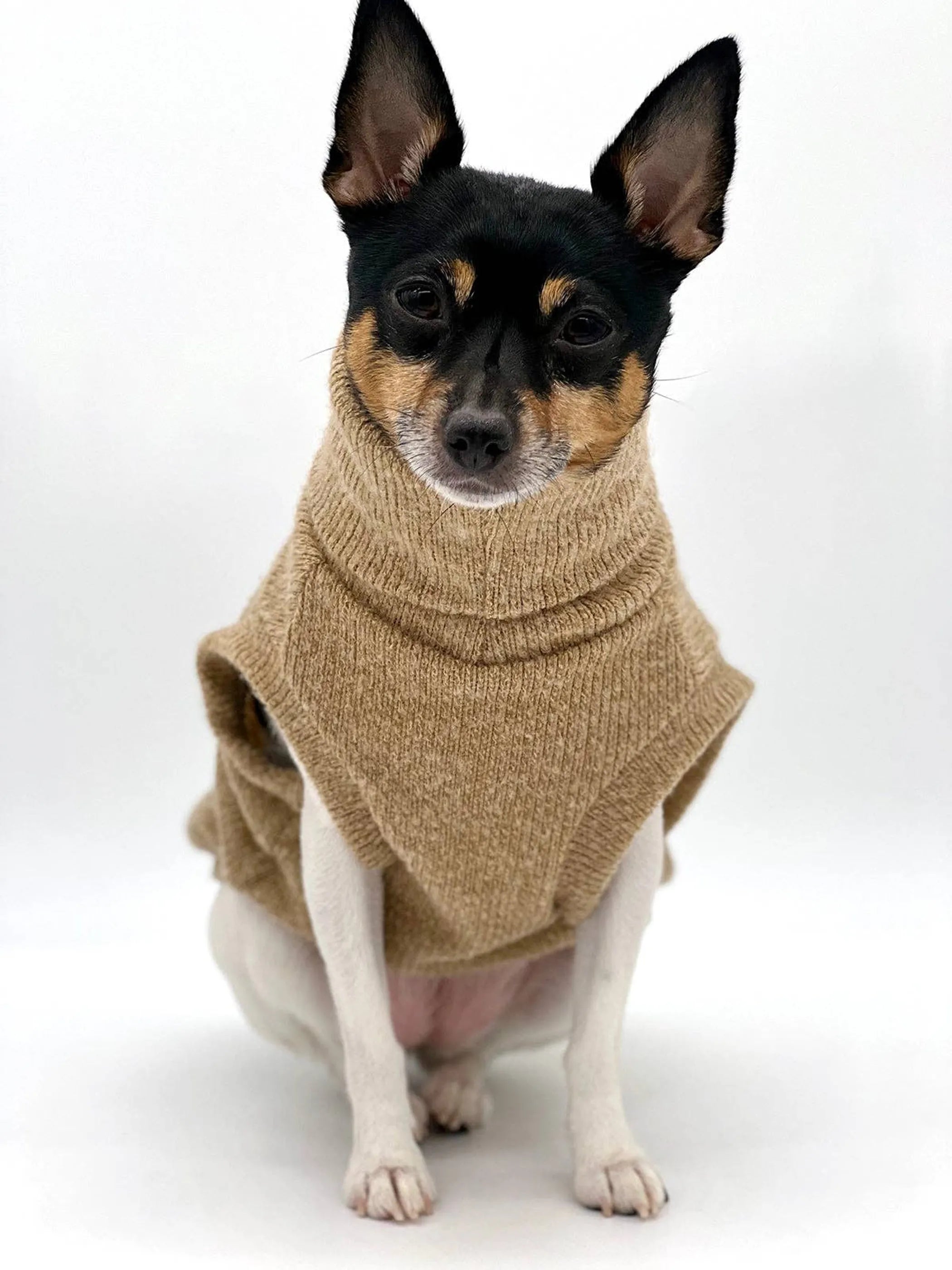 Cafe Latte Pullover Sweater