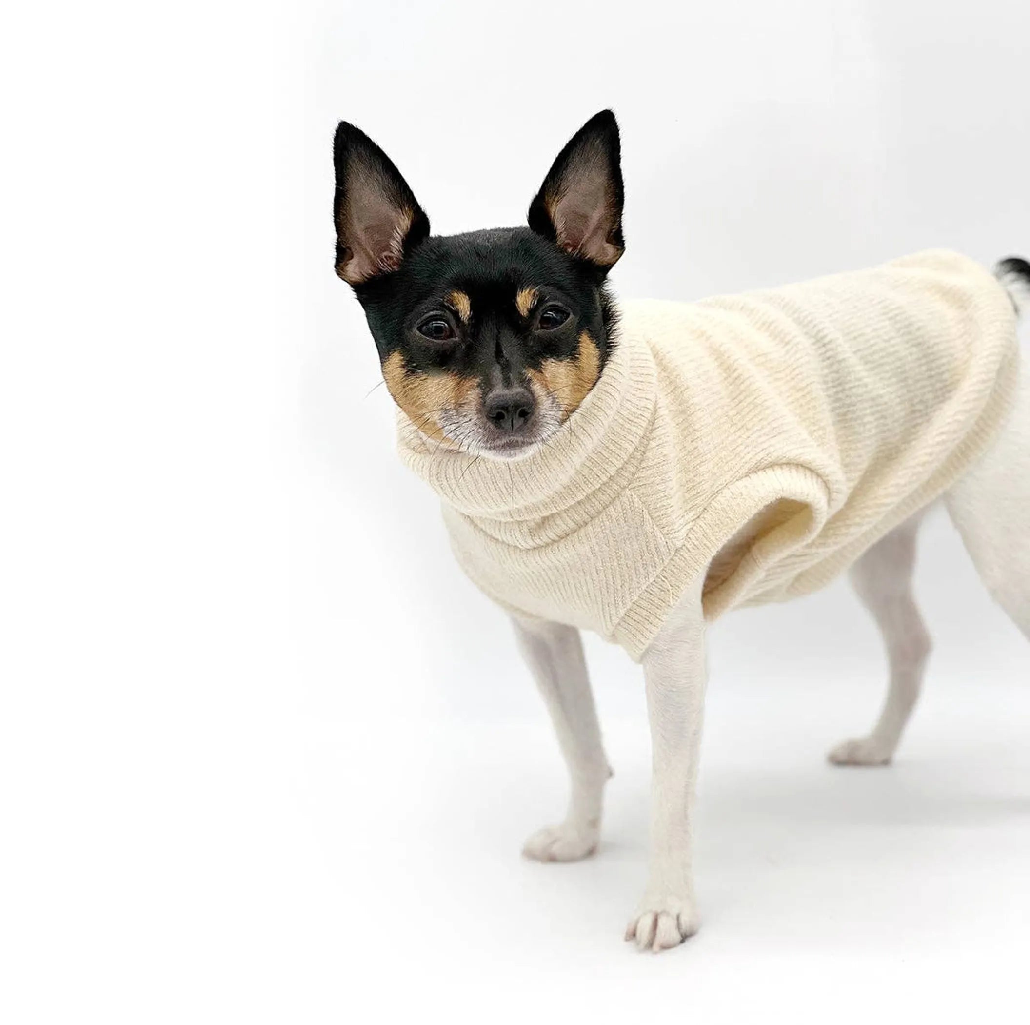 Dulce de Leche Pullover Sweater