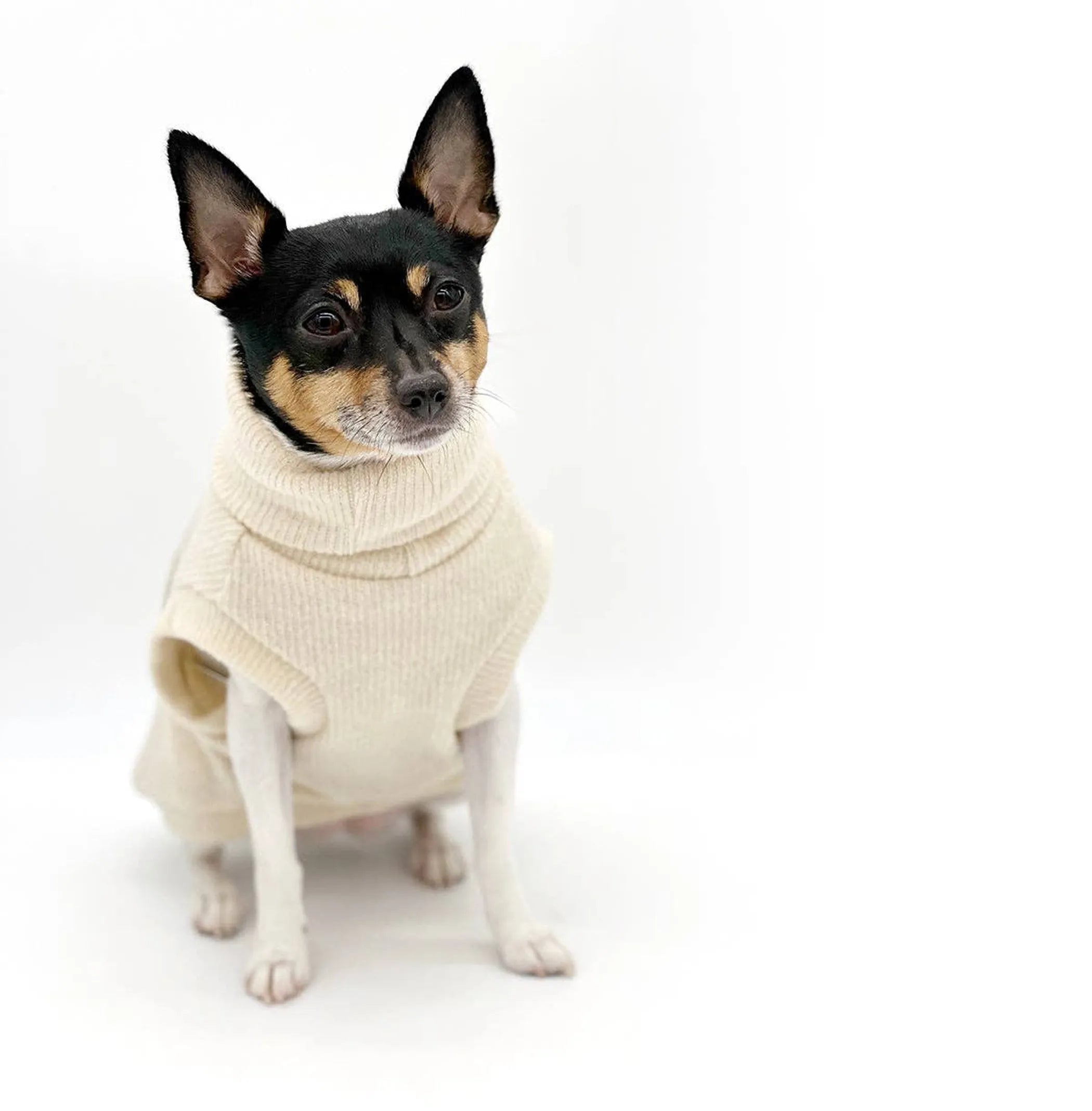Dulce de Leche Pullover Sweater