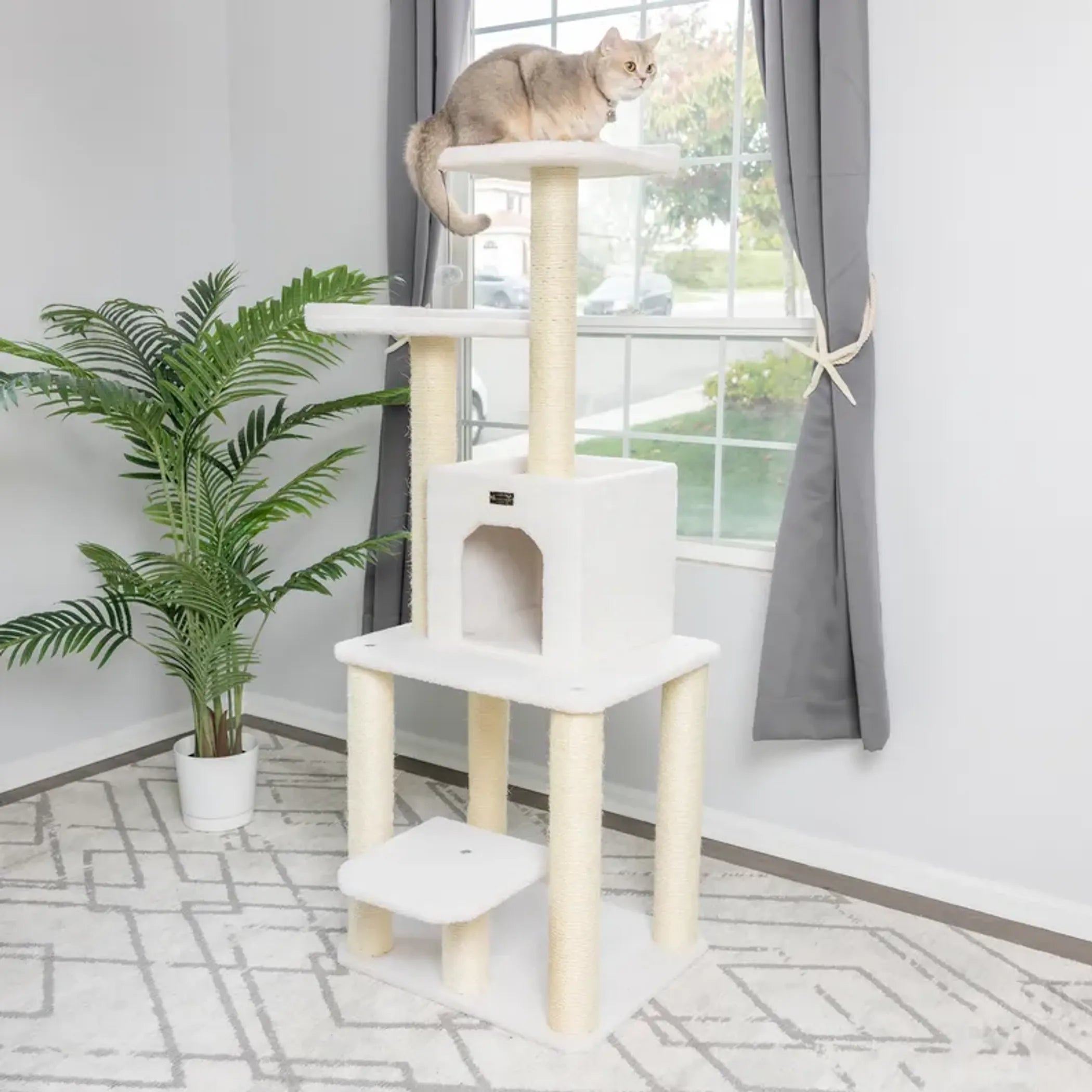 Real Wood Classic Cat Tree Five Levels Cat Condo
