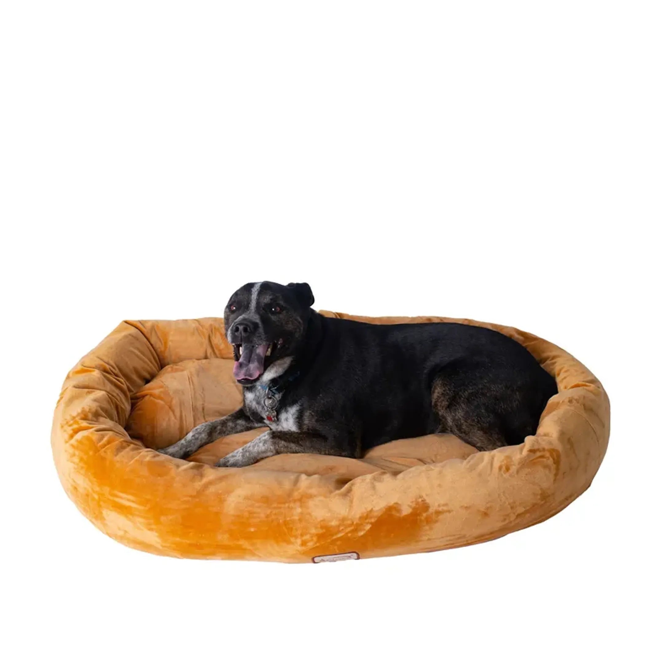 Armarkat Bolstered Pet Bed and Mat