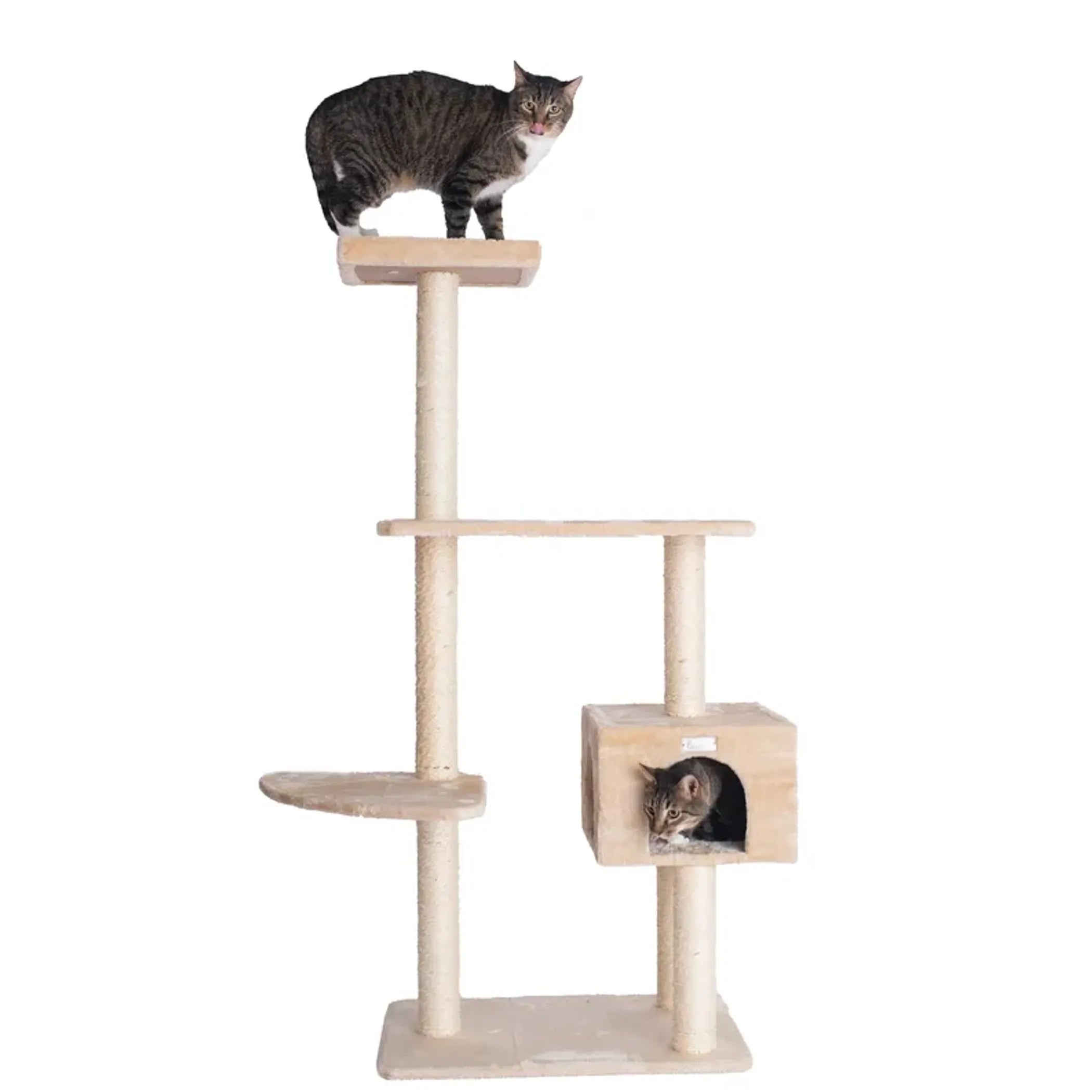 GleePet 57-Inch Cat Tree Real Wood Cat Perches Beige