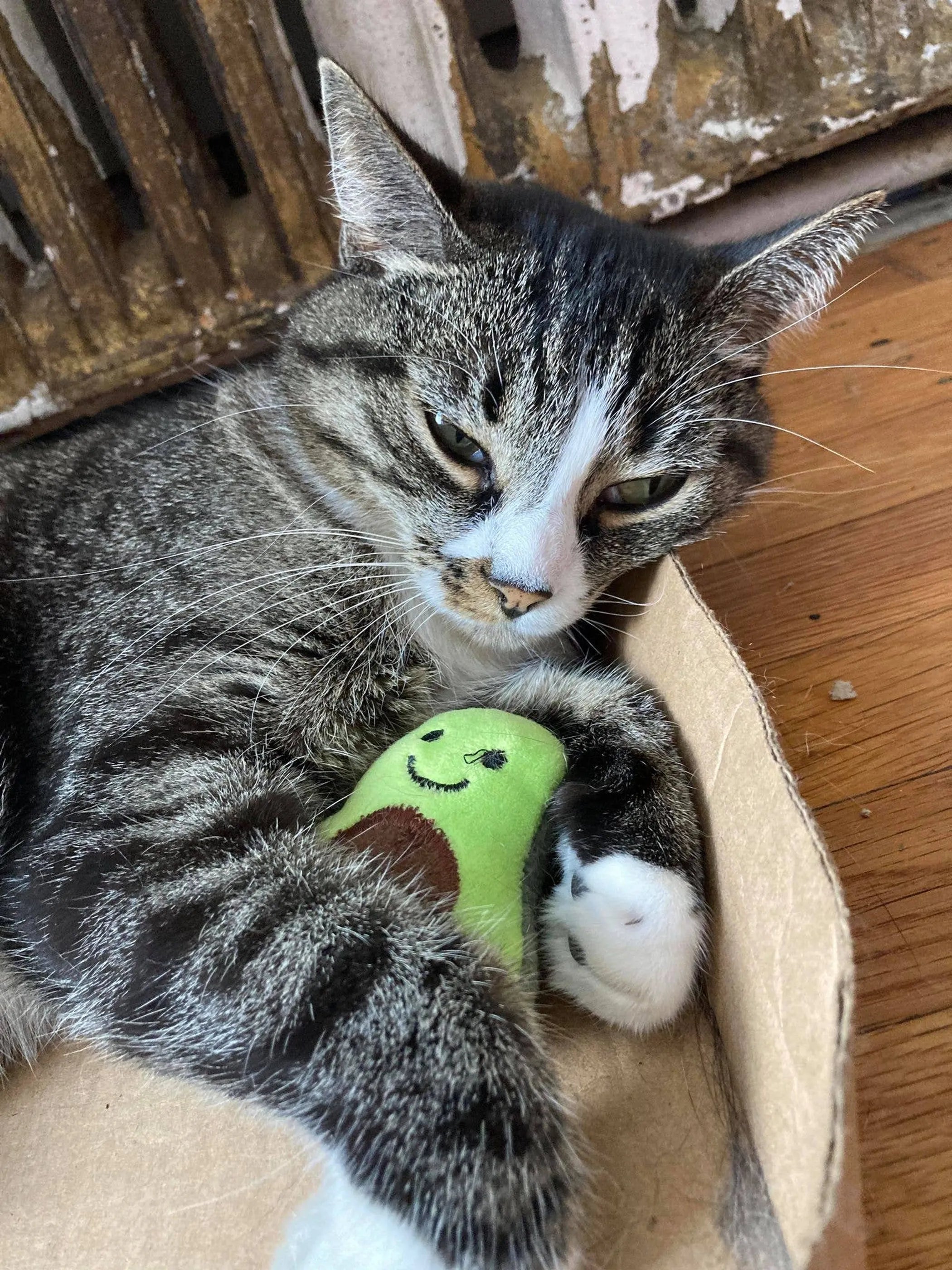 Smokey’s Stash Catnip Toys