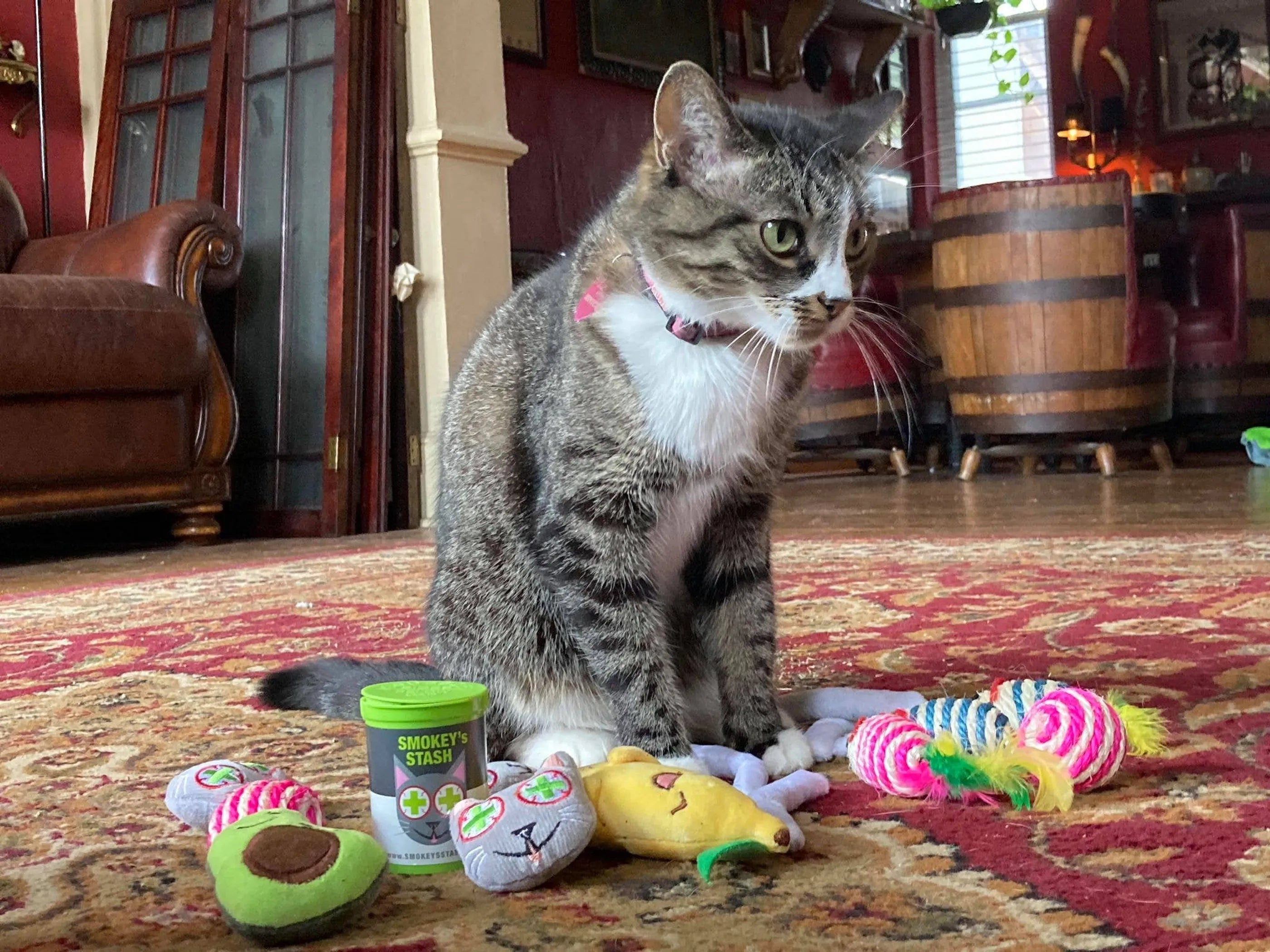 Smokey’s Stash Catnip Toys