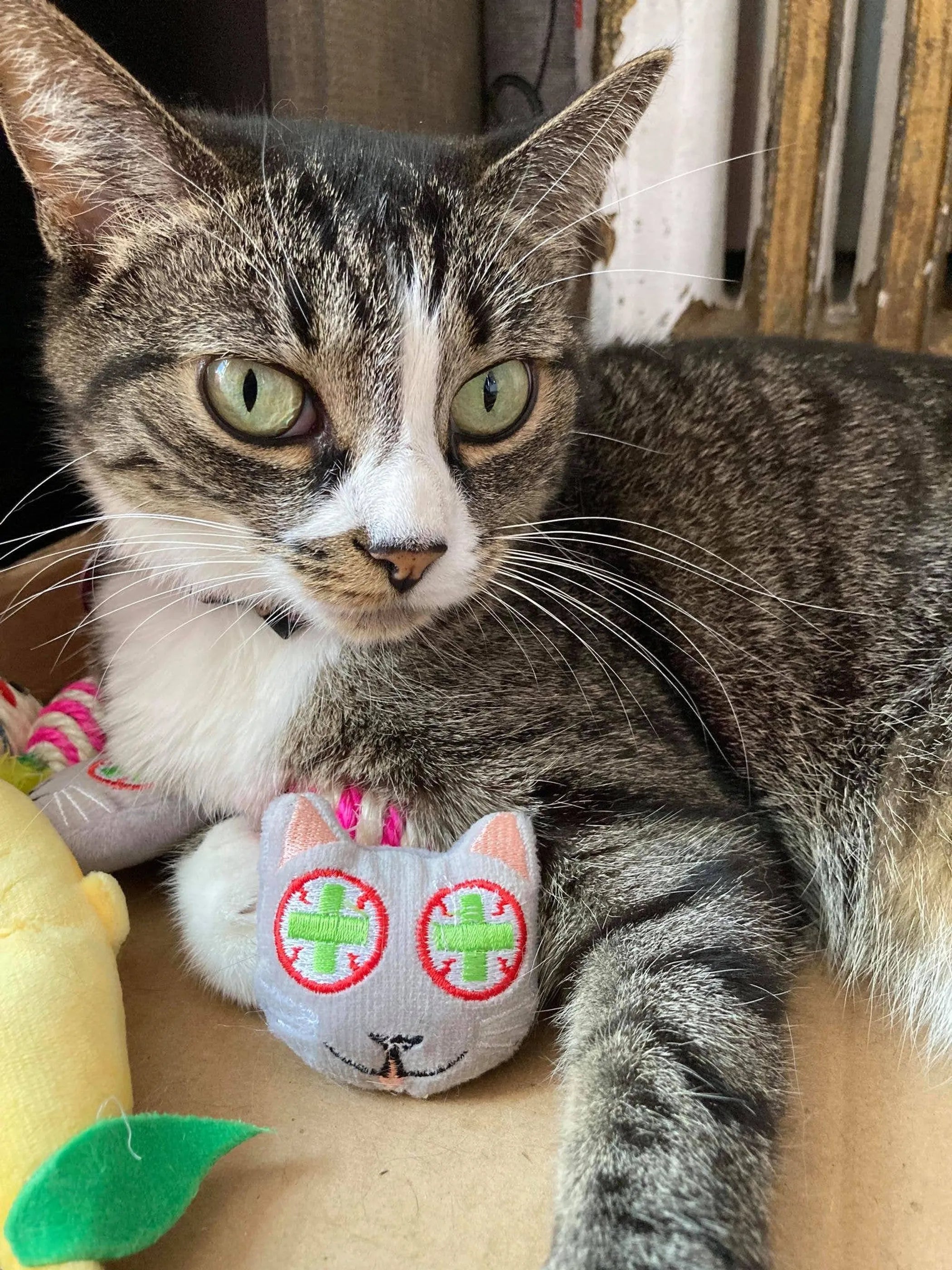 Smokey’s Stash Catnip Toys