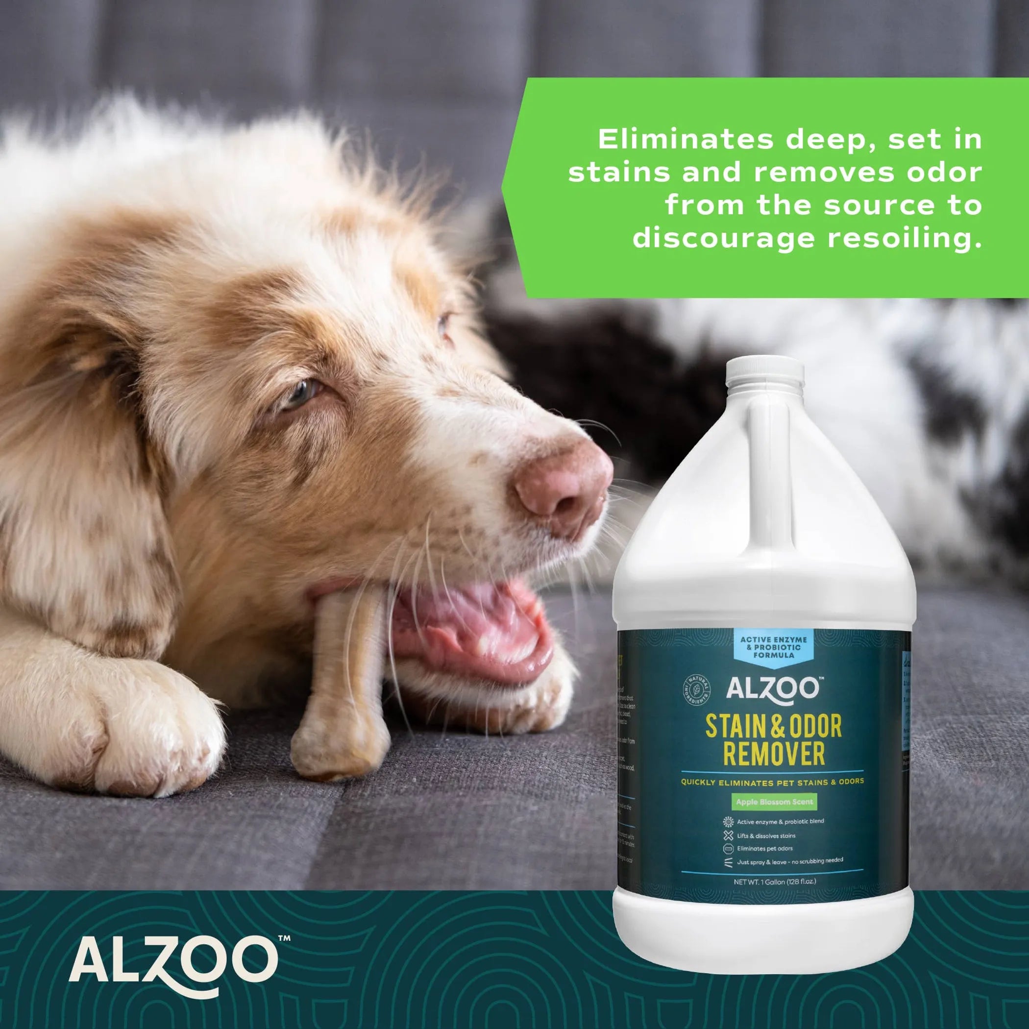 ALZOO Enzymatic Stain &amp; Odor Remover