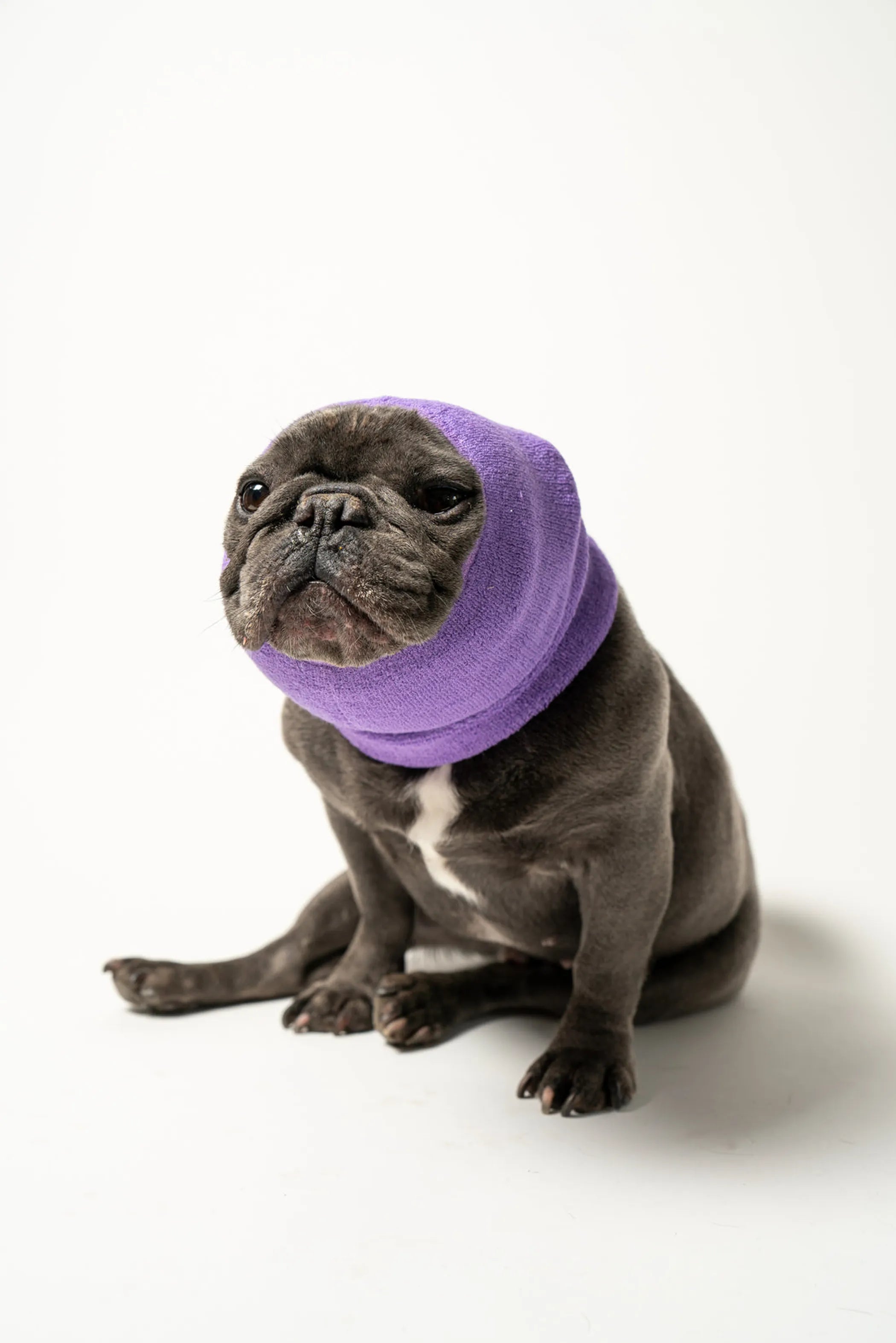 Pet Hoodz Dog Hoodie for Anxiety