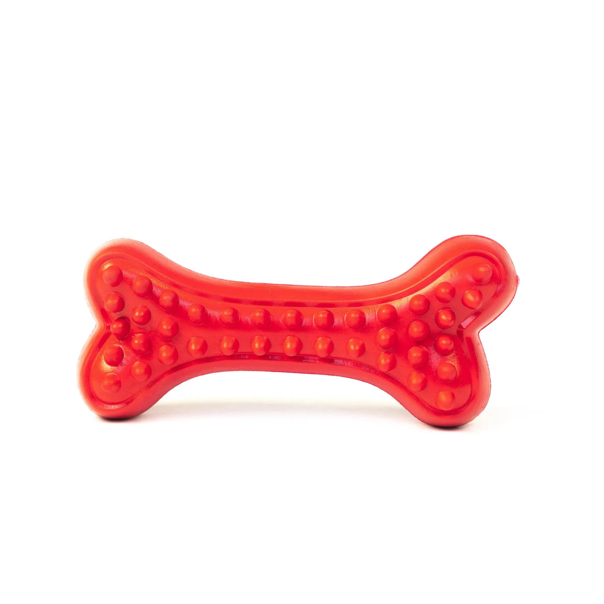 Arlo’s Favorite Rubber Bone