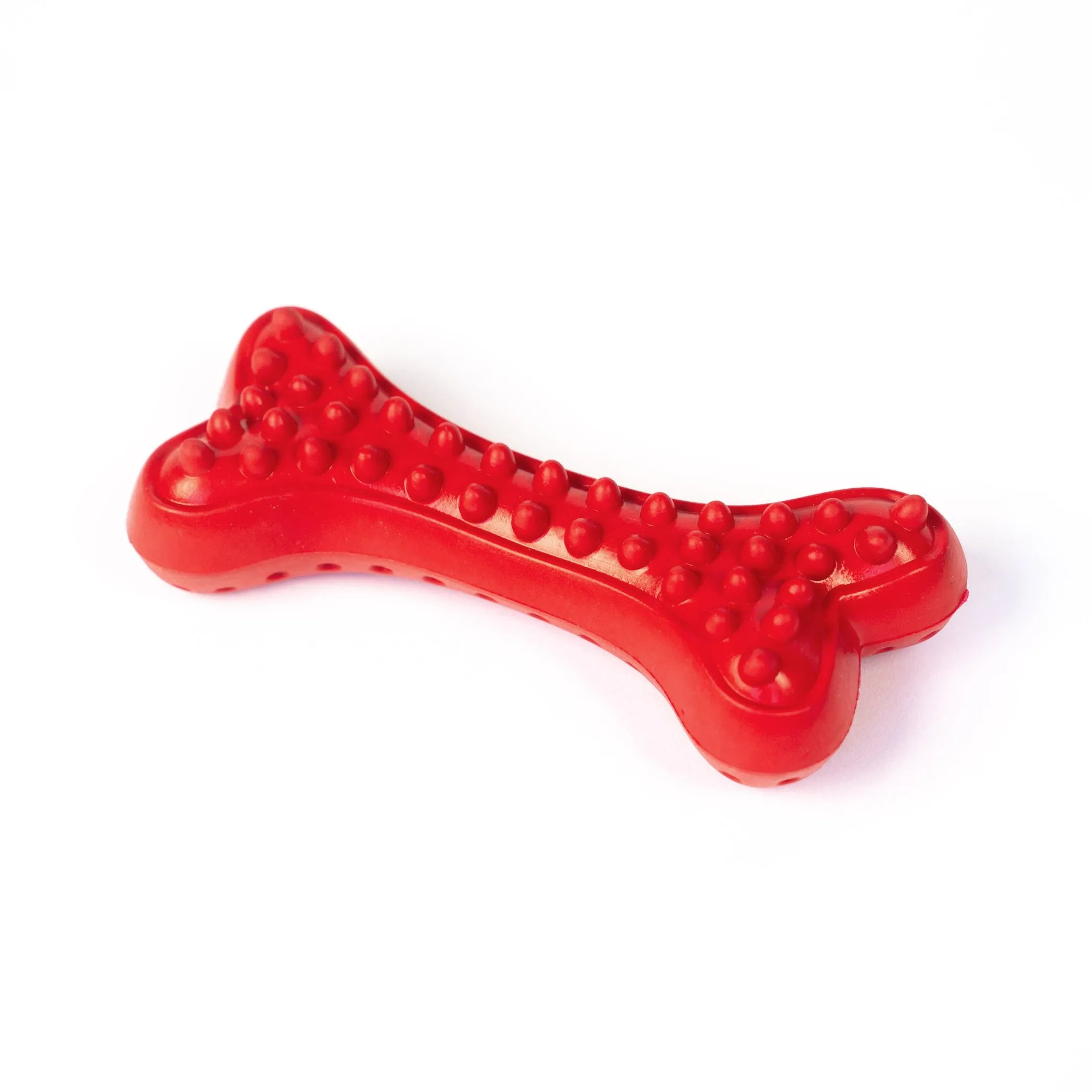 Arlo’s Favorite Rubber Bone
