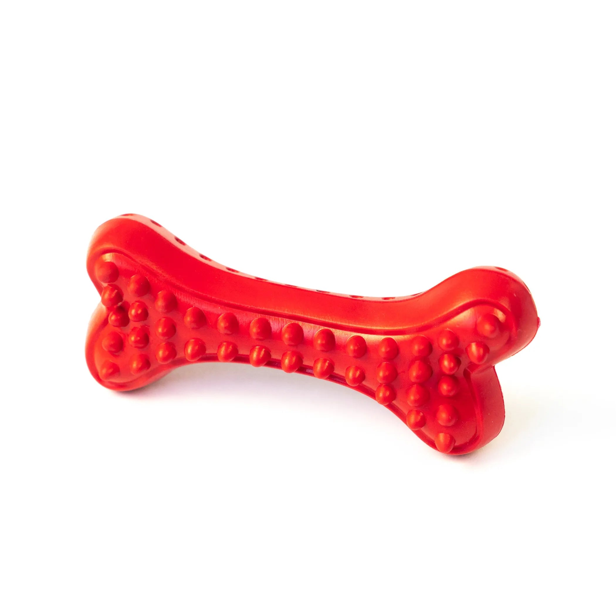 Arlo’s Favorite Rubber Bone