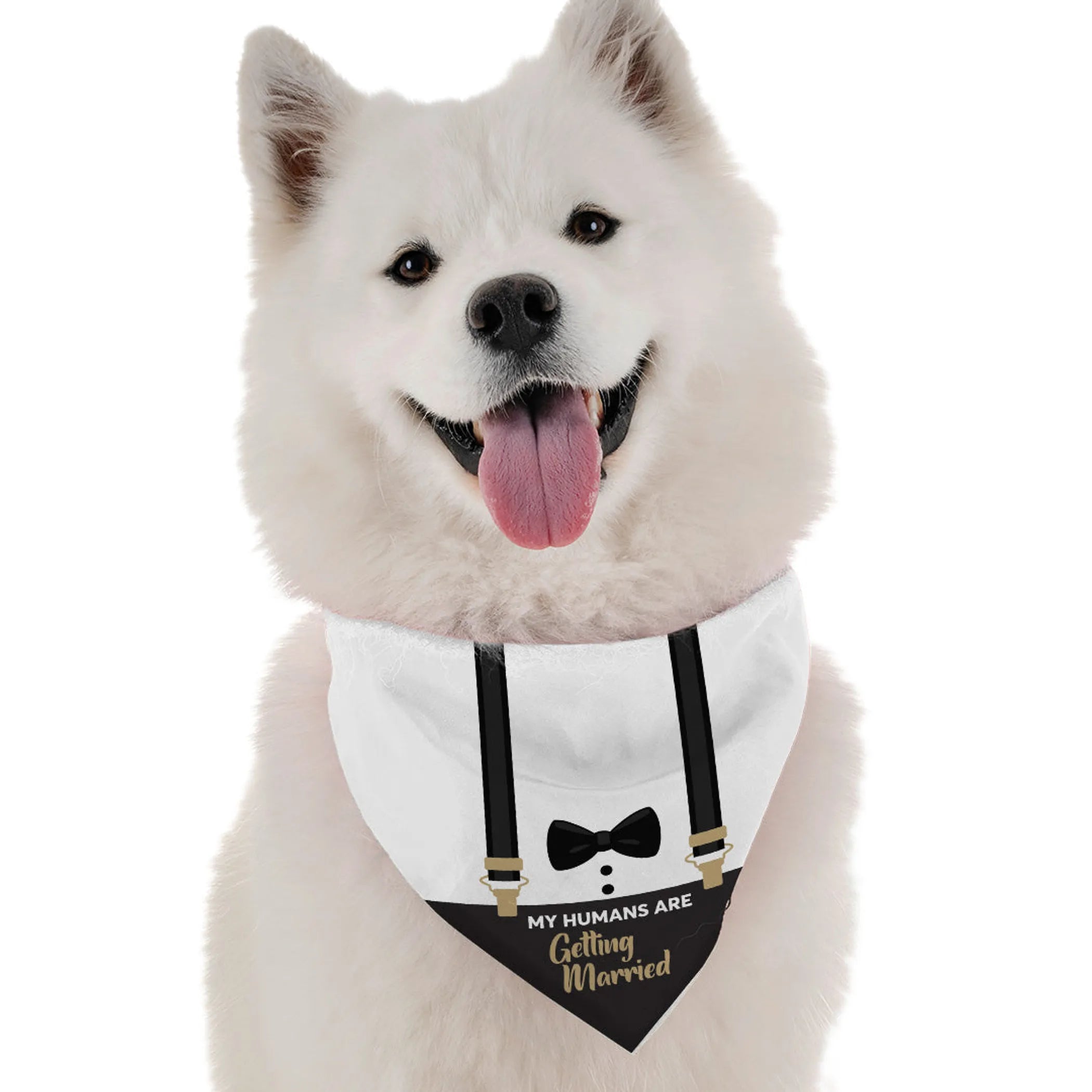 Bandoggies My Humans Are Getting Married Pet Bandana