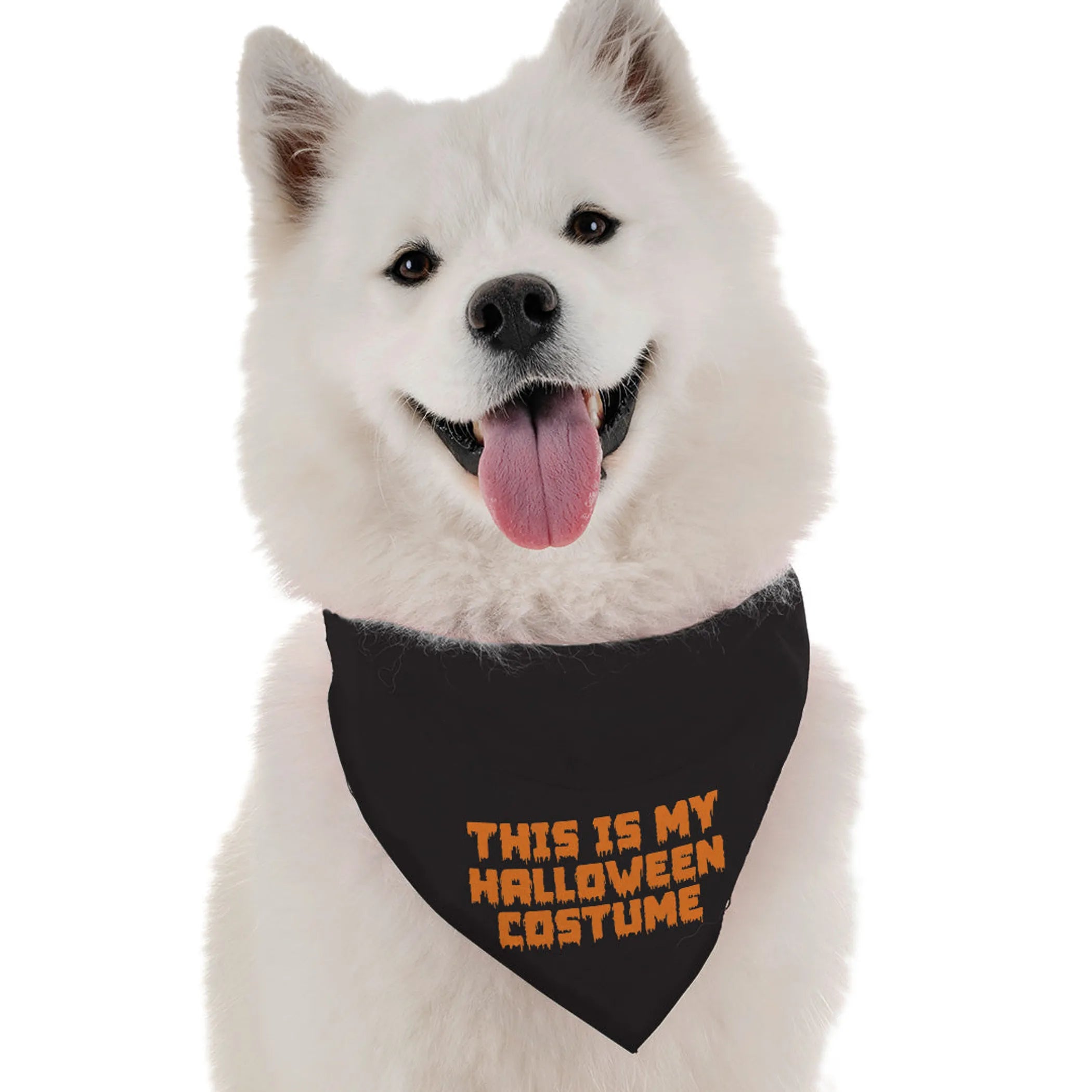 Bandoggies This Is My Halloween Costume Pet Bandana